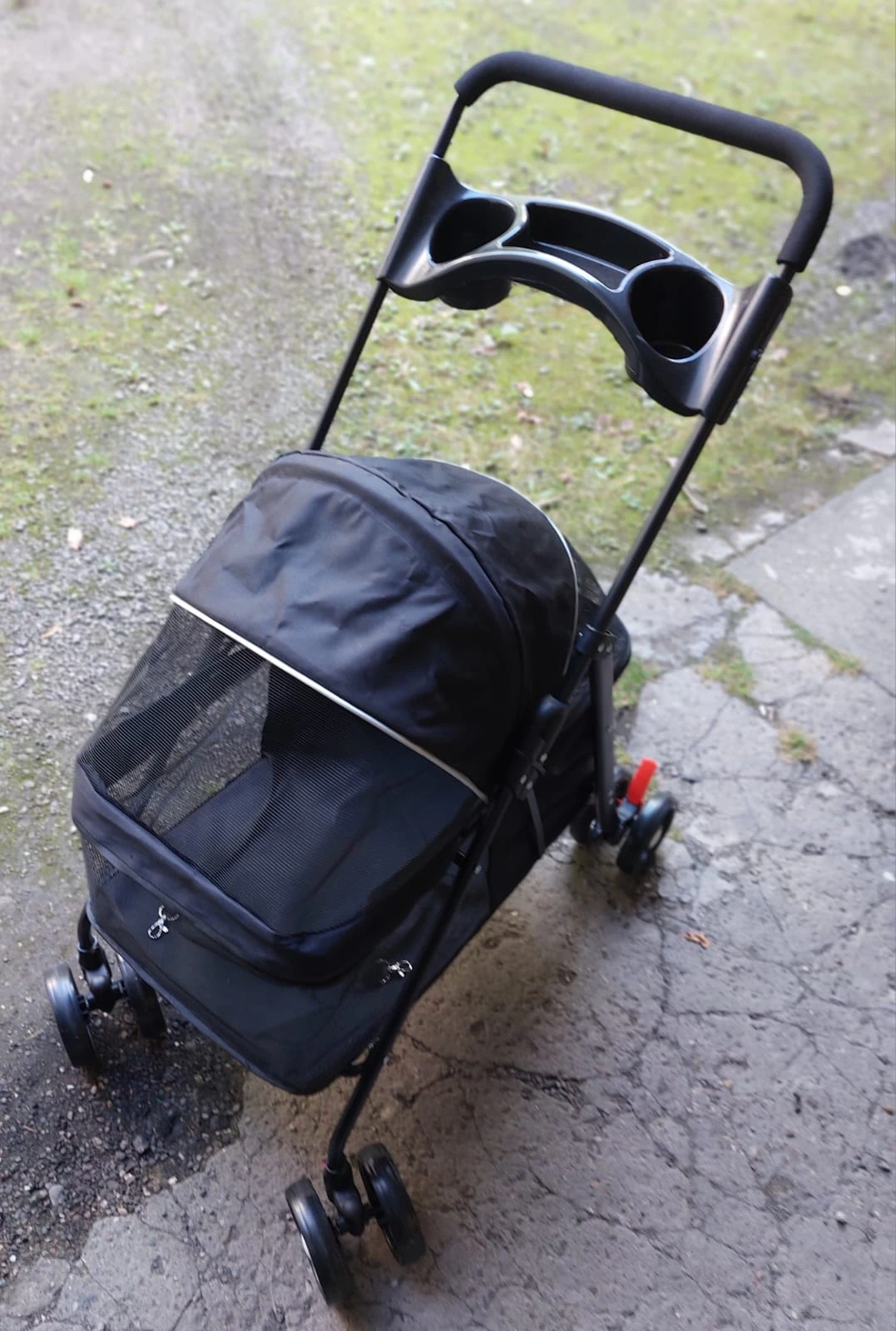 Buggy