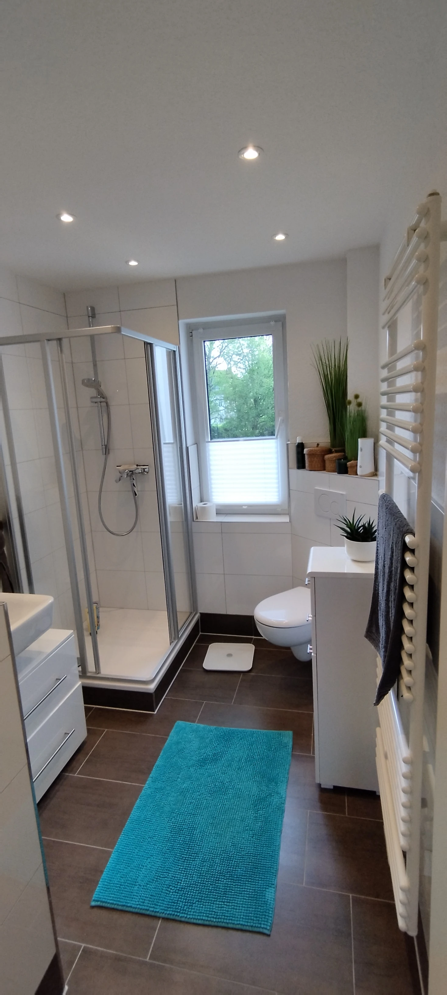 Badezimmer mit Dusche und Fenster 