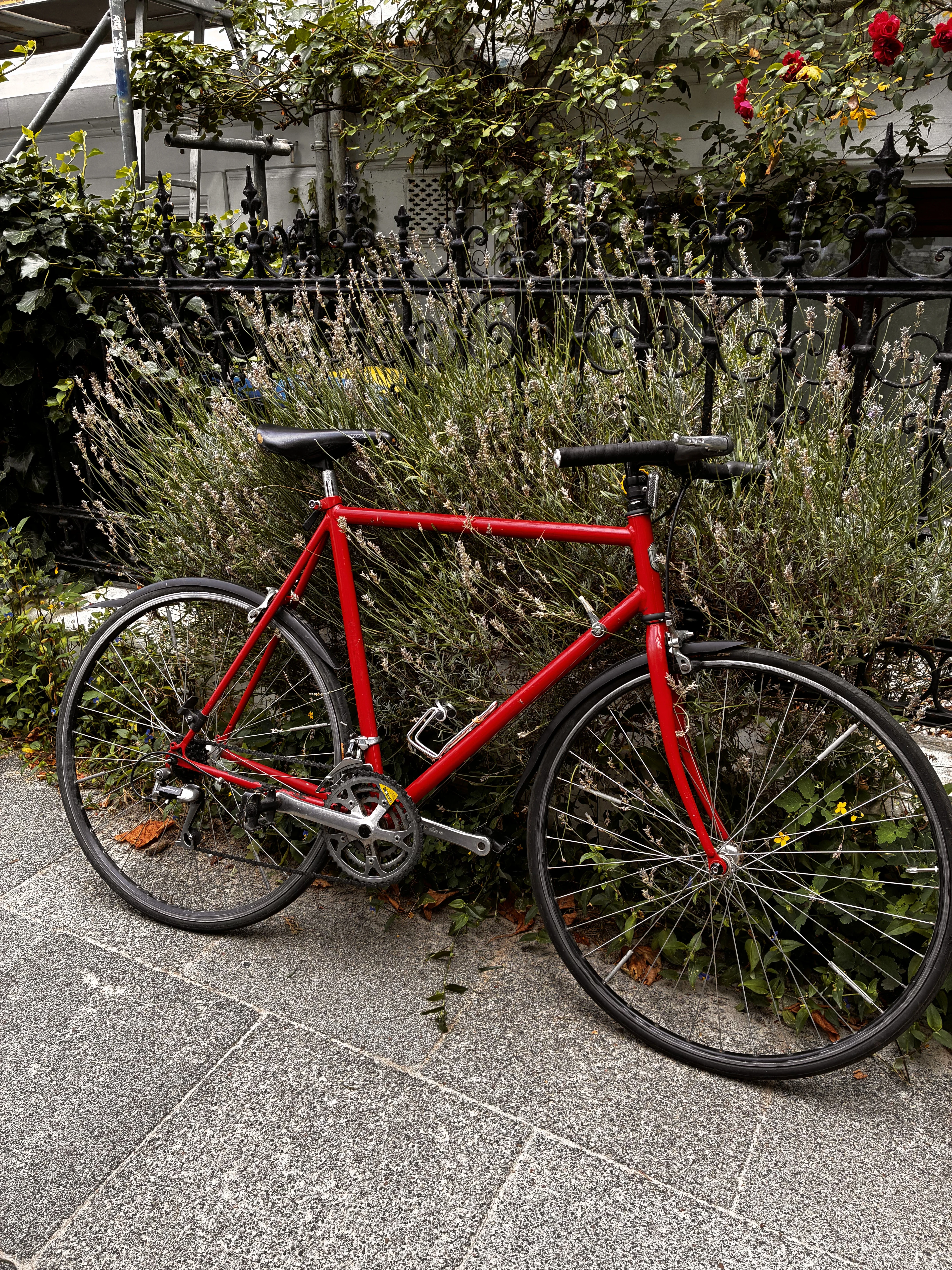 Rennrad