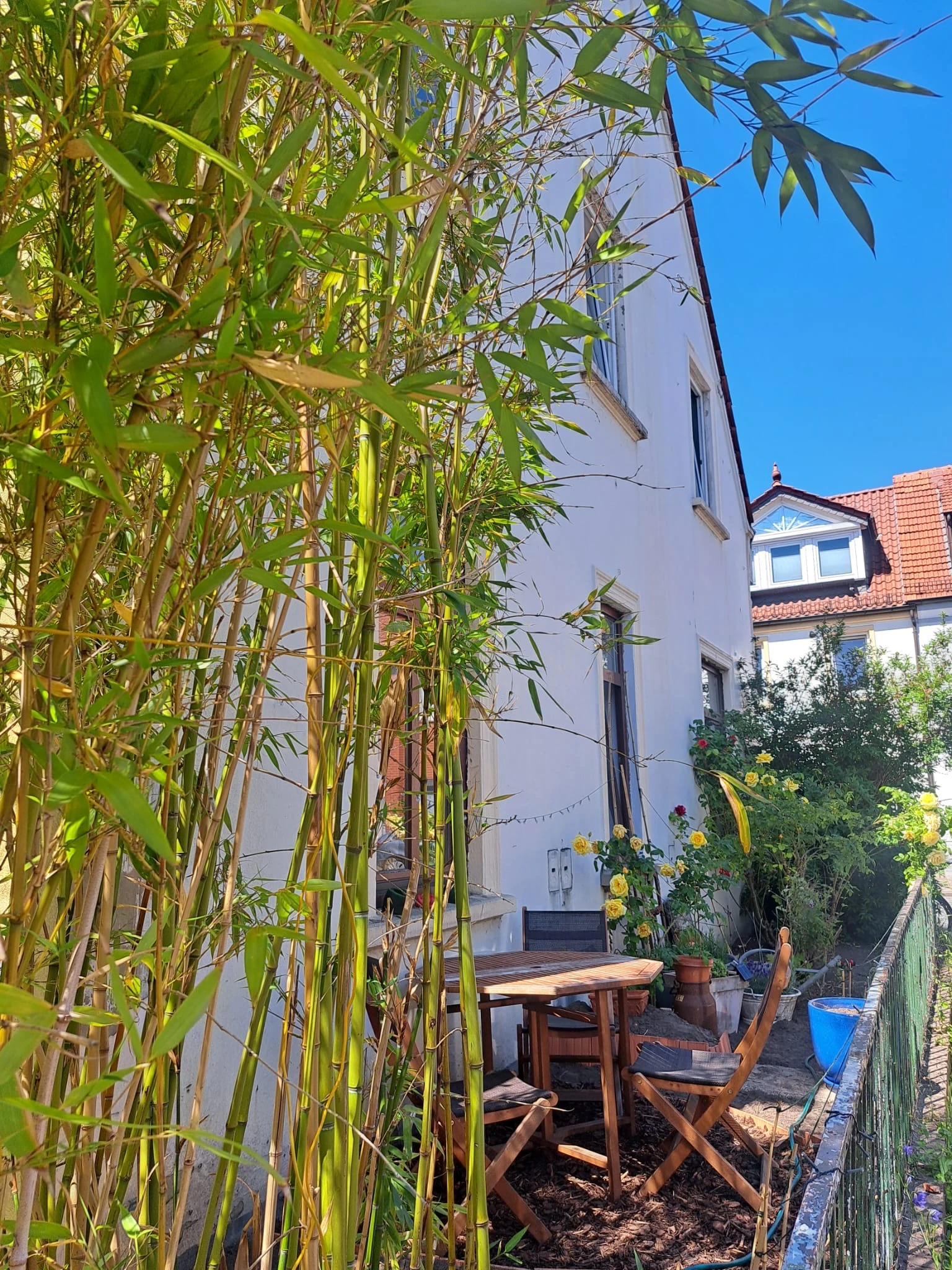 Kleiner Garten