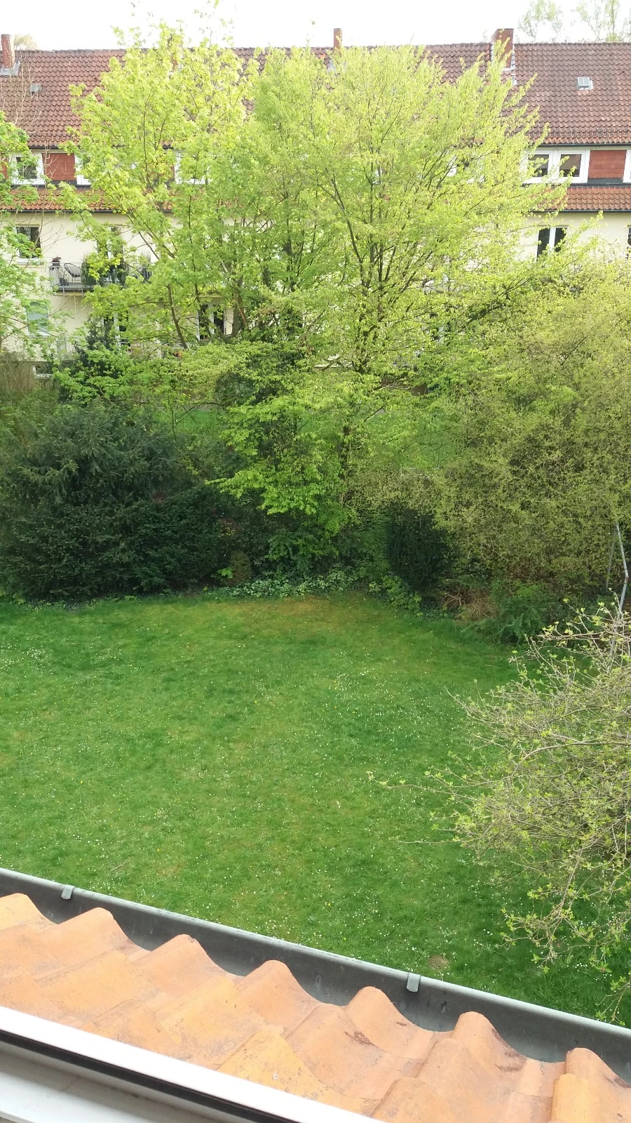 Blick in den Garten