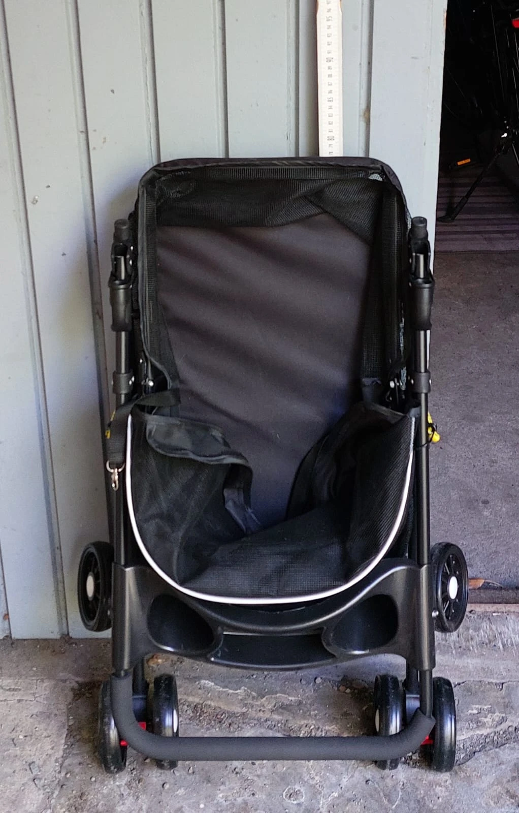 Buggy