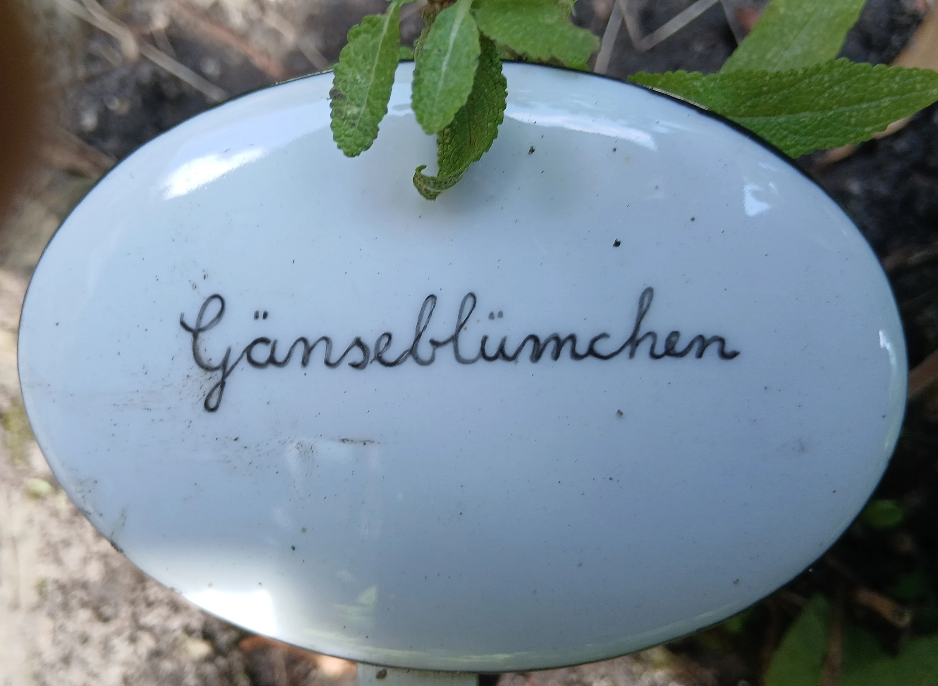 Beispielbild