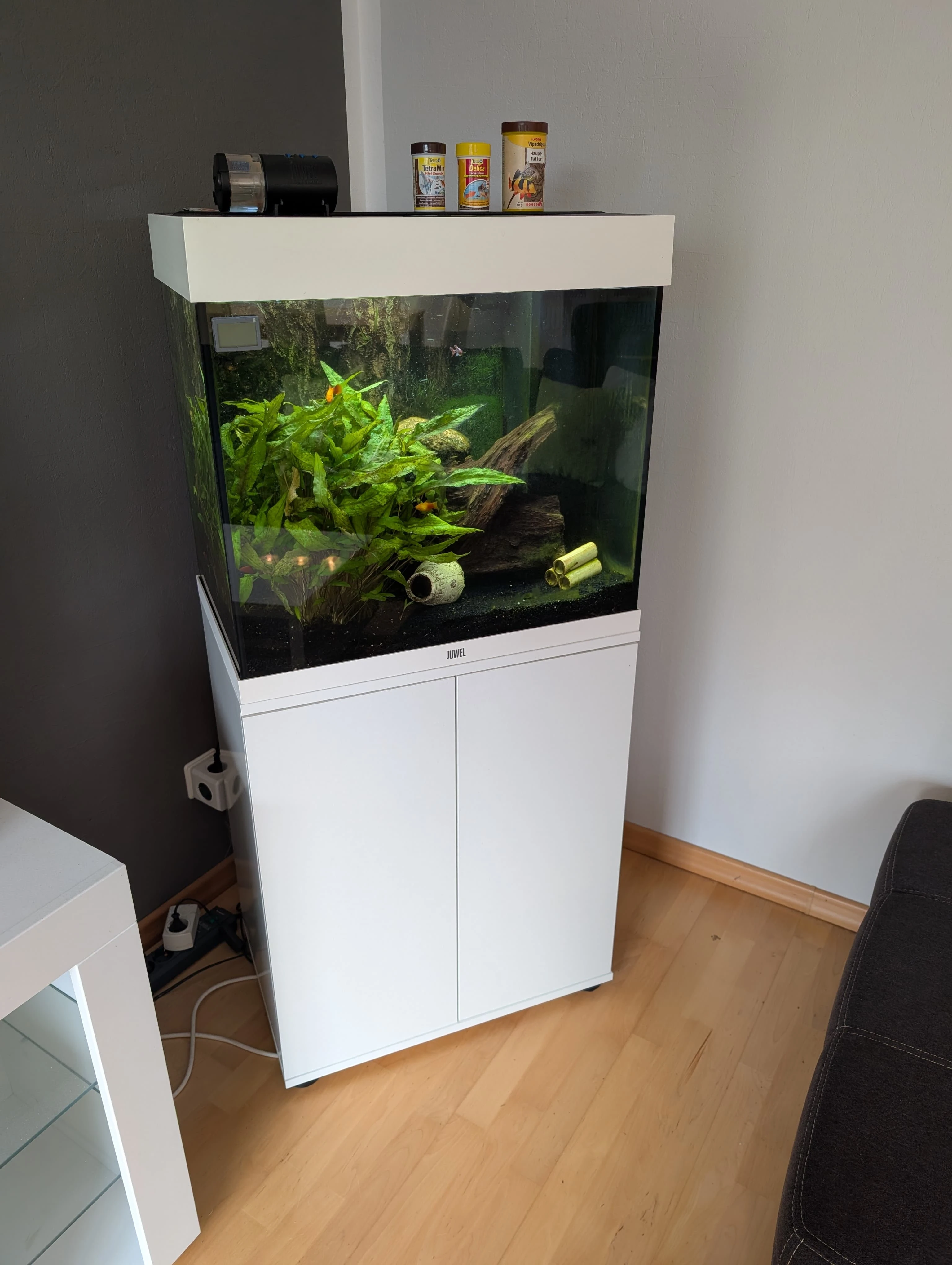 Juwel Aquarium Lido 120 ltr