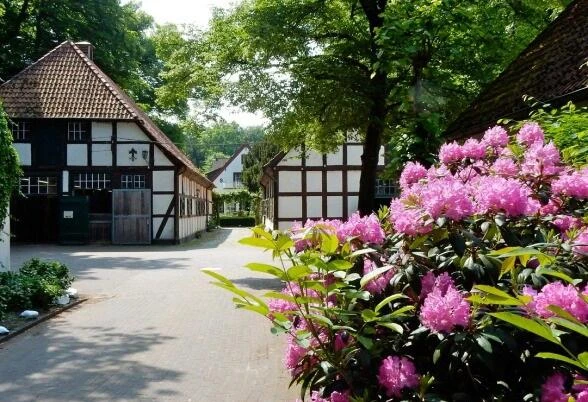 Blick auf den Hof II