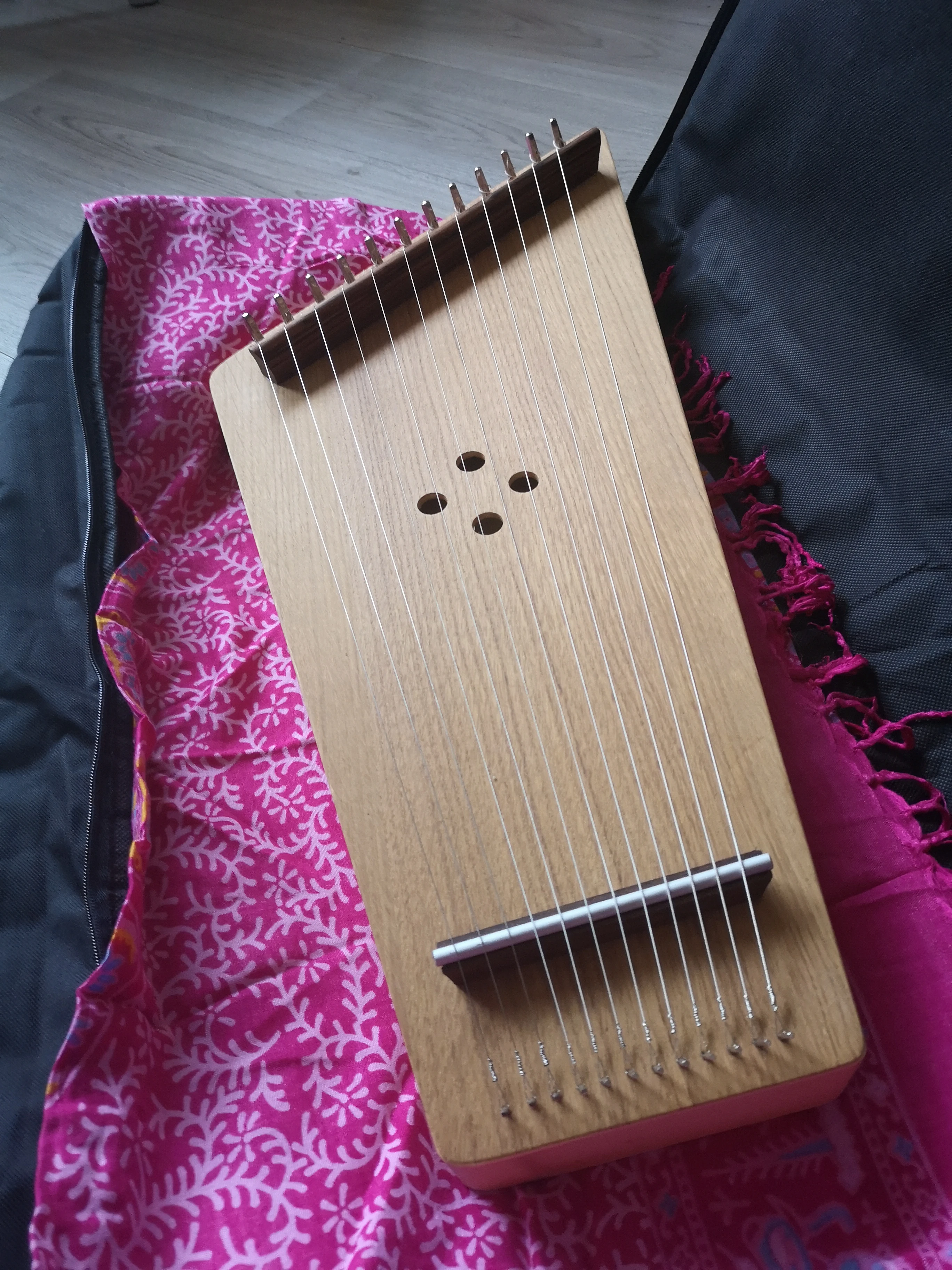 Neue 12-saitige diatonische Kantele