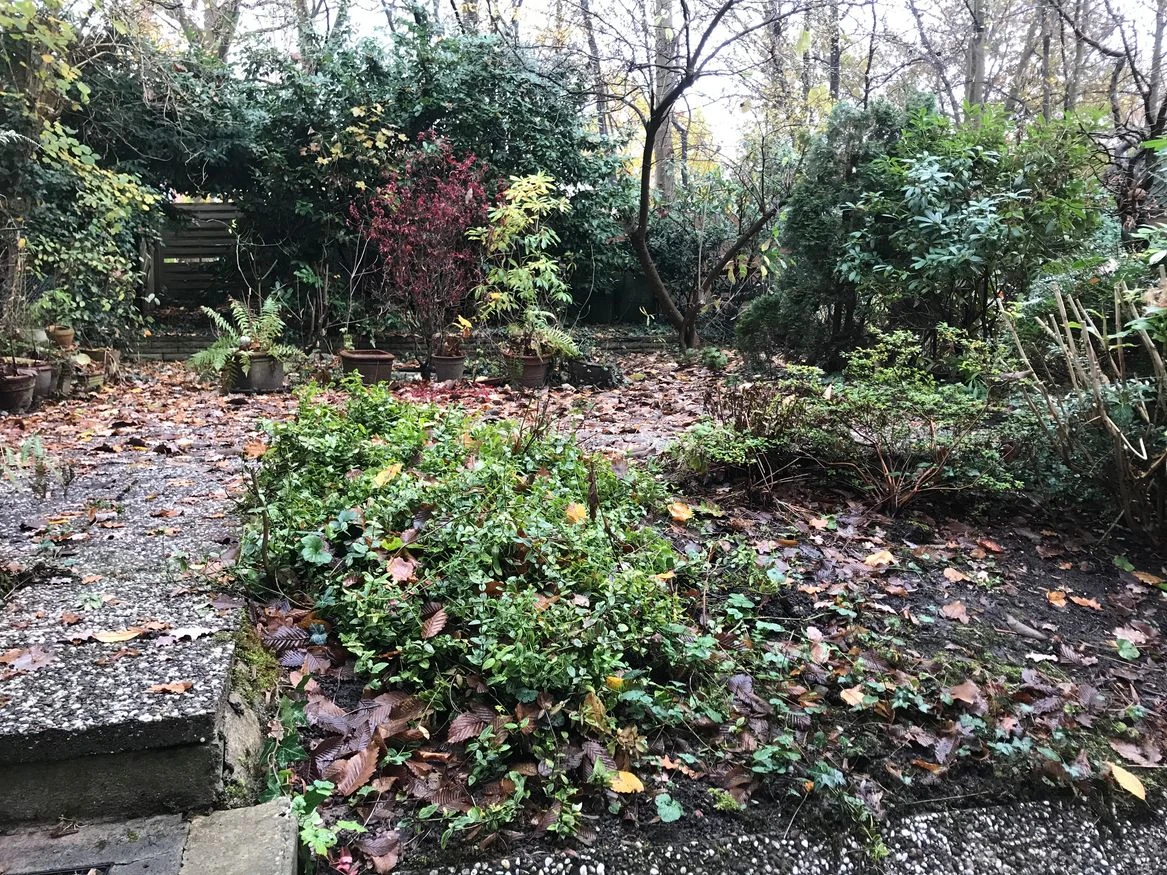 Garten