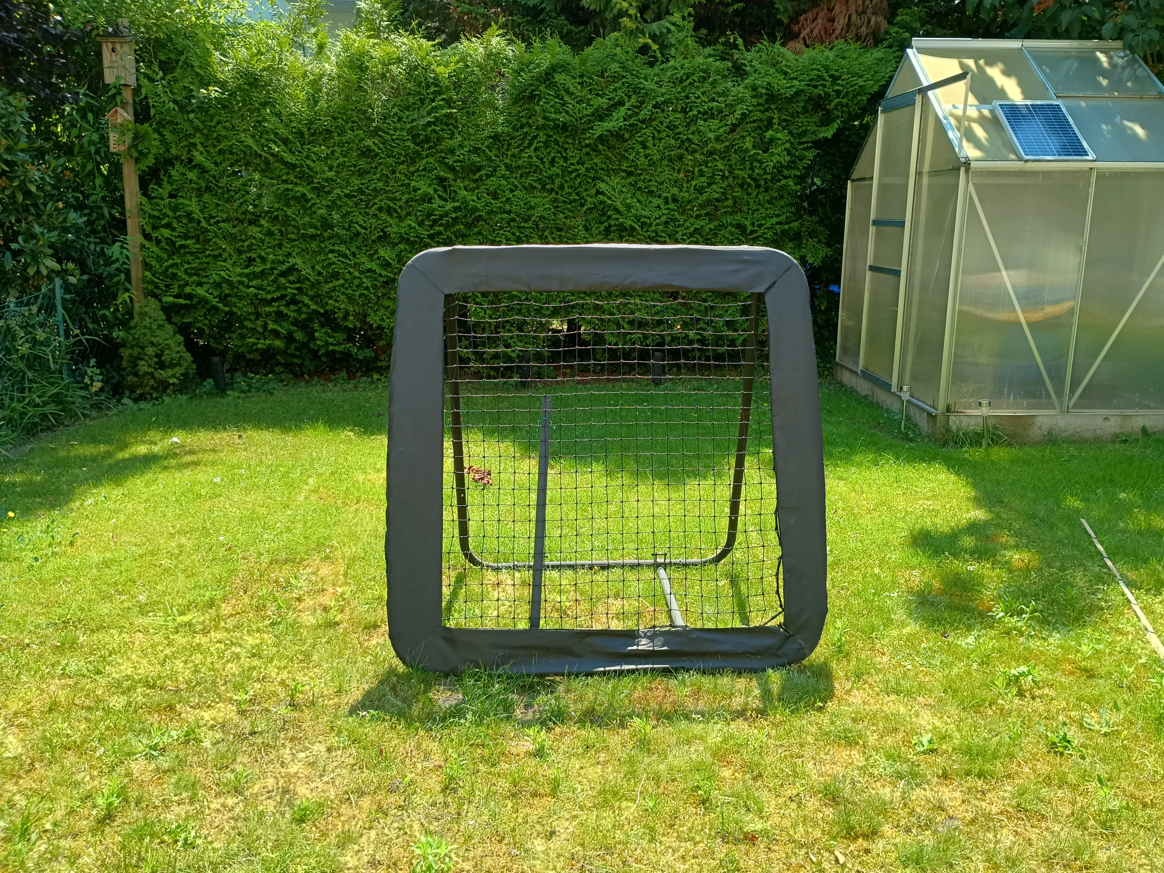 Rebounder