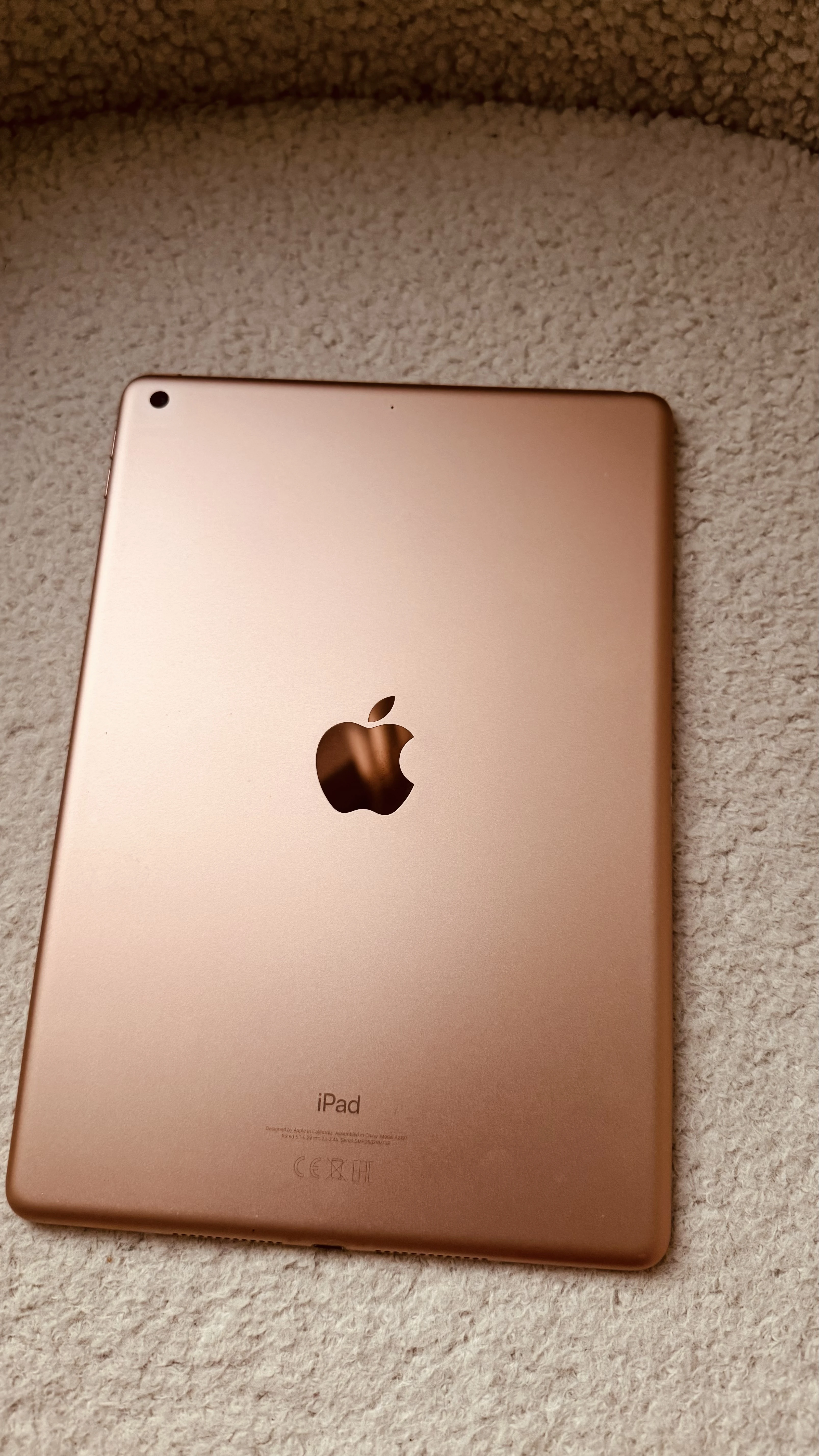 iPad von hinten 