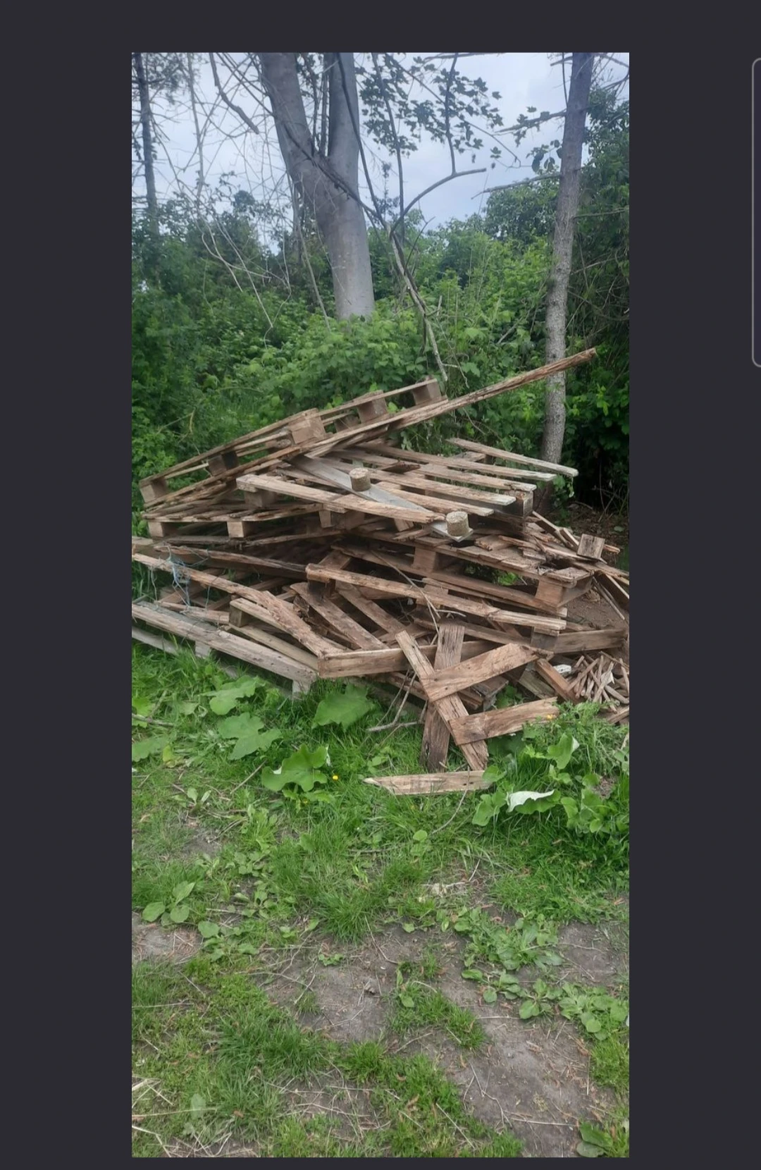Feuerholz