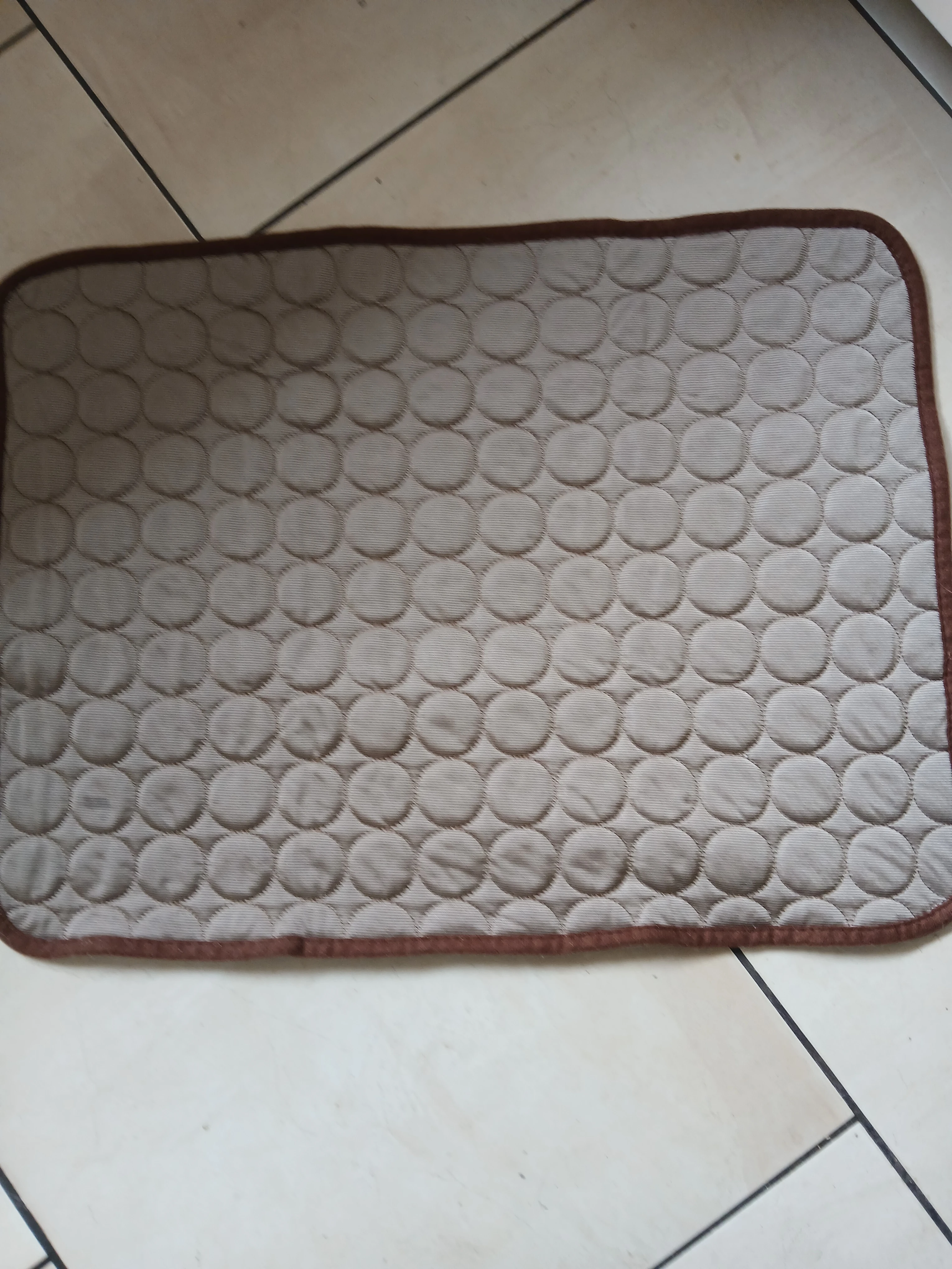 Kühlmatte für Katzen