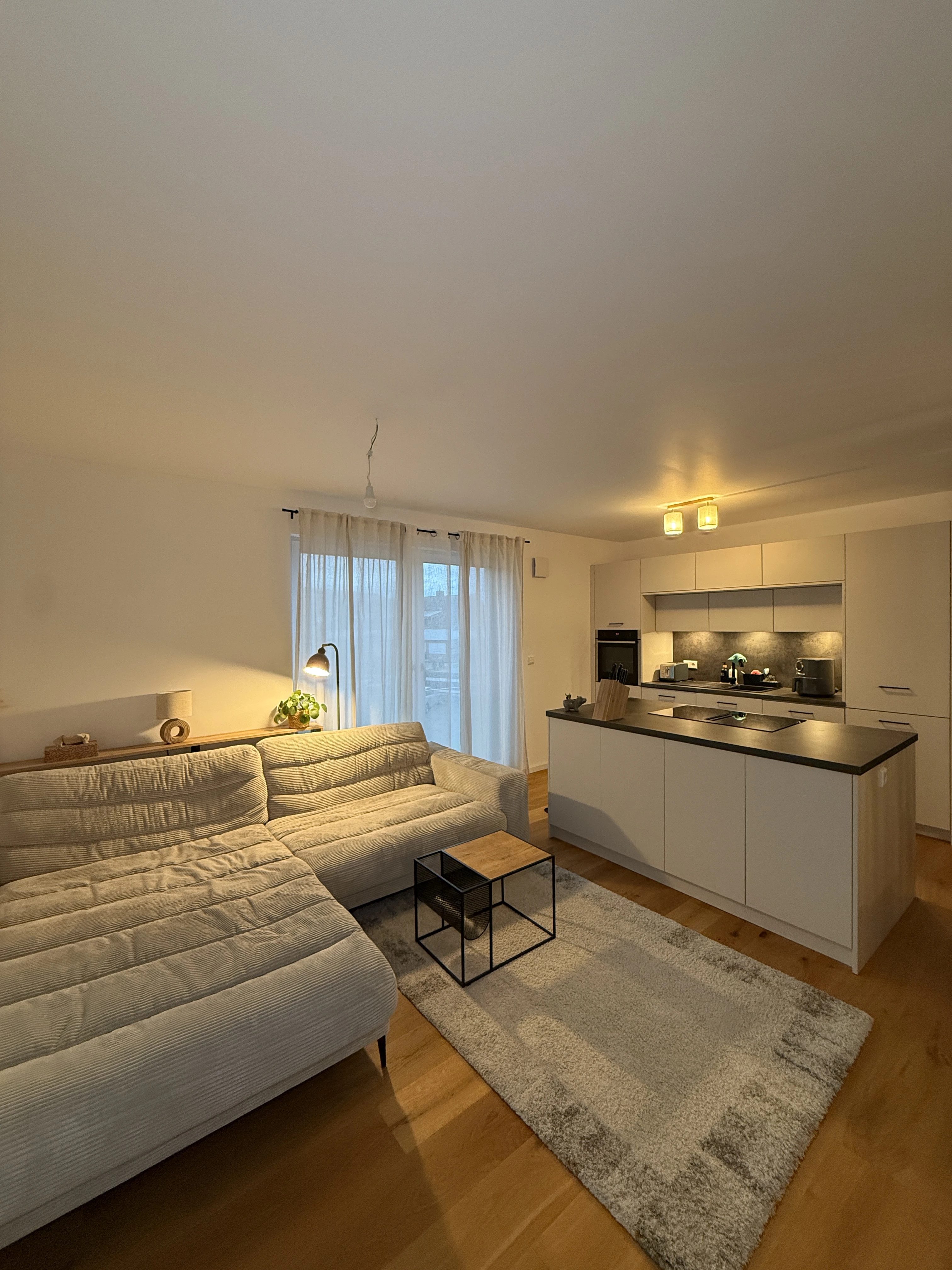 Wohnzimmer mit Einbauküche