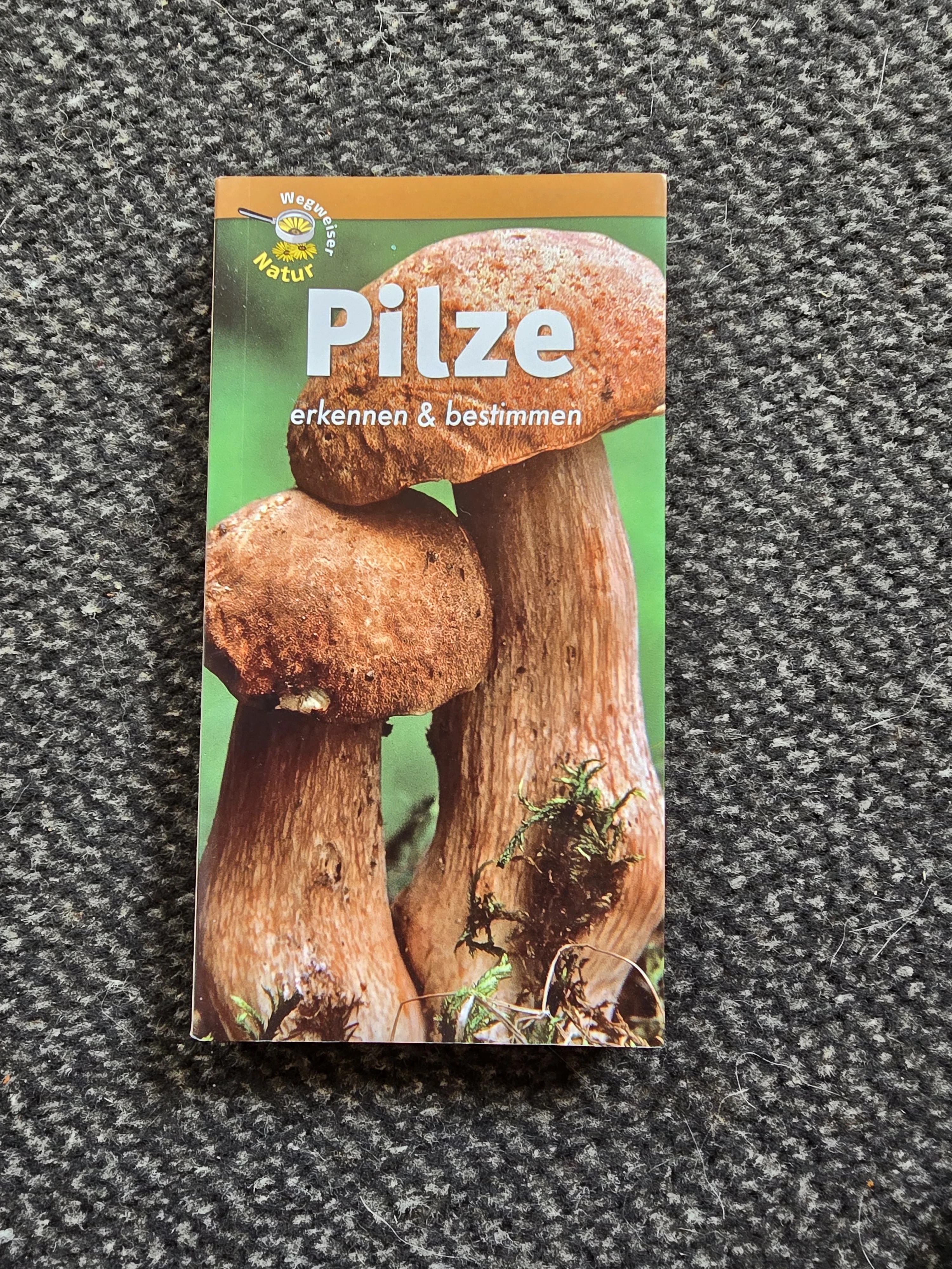 Pilze 🍄 Buch 