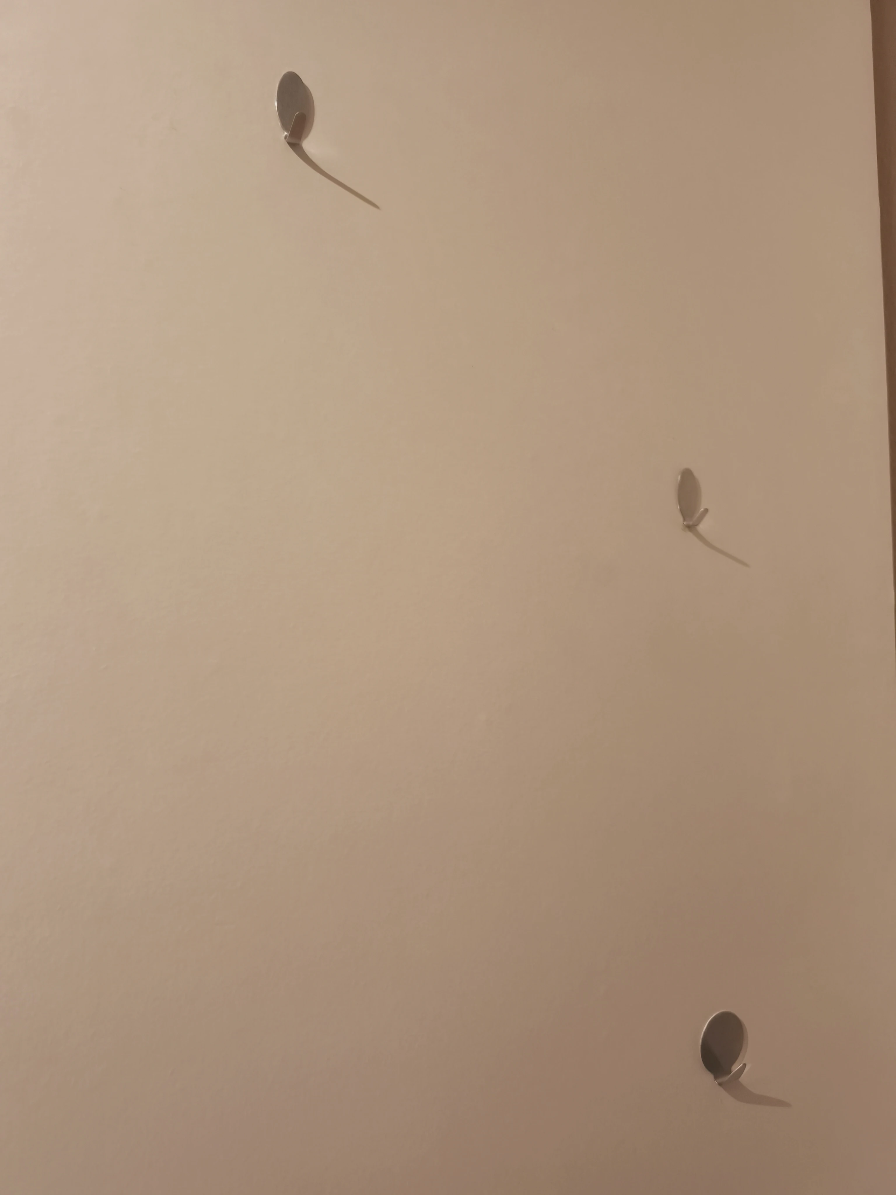 Schrank