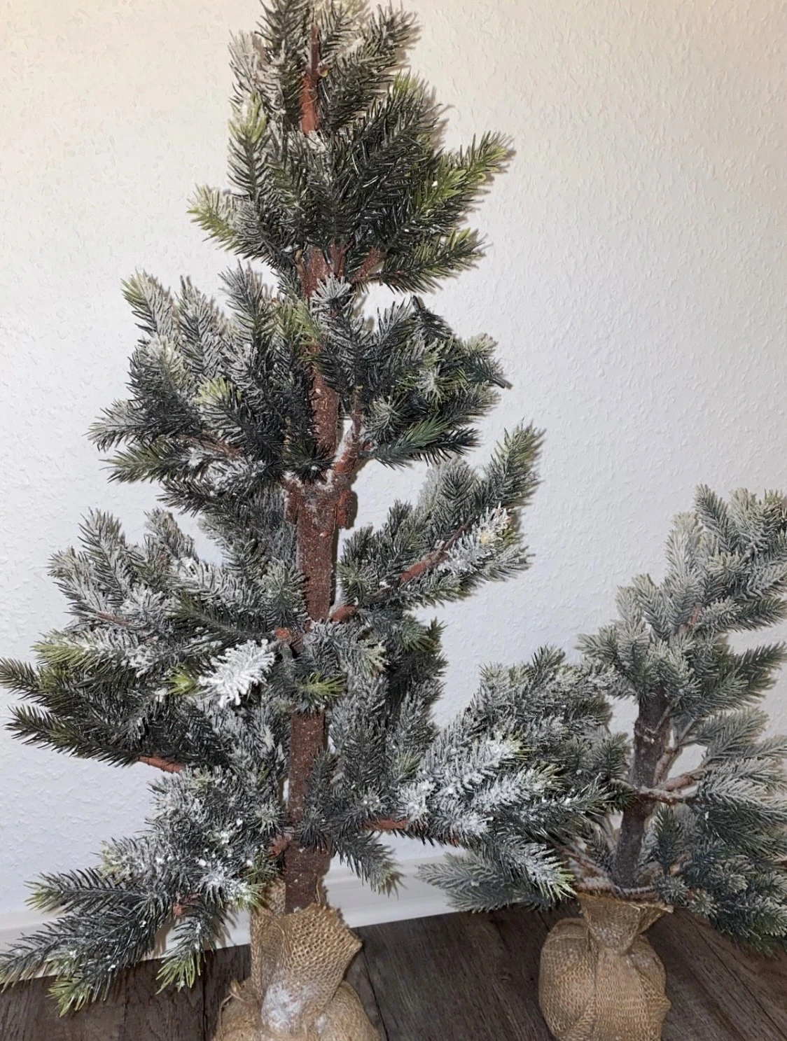 Tannenbaum