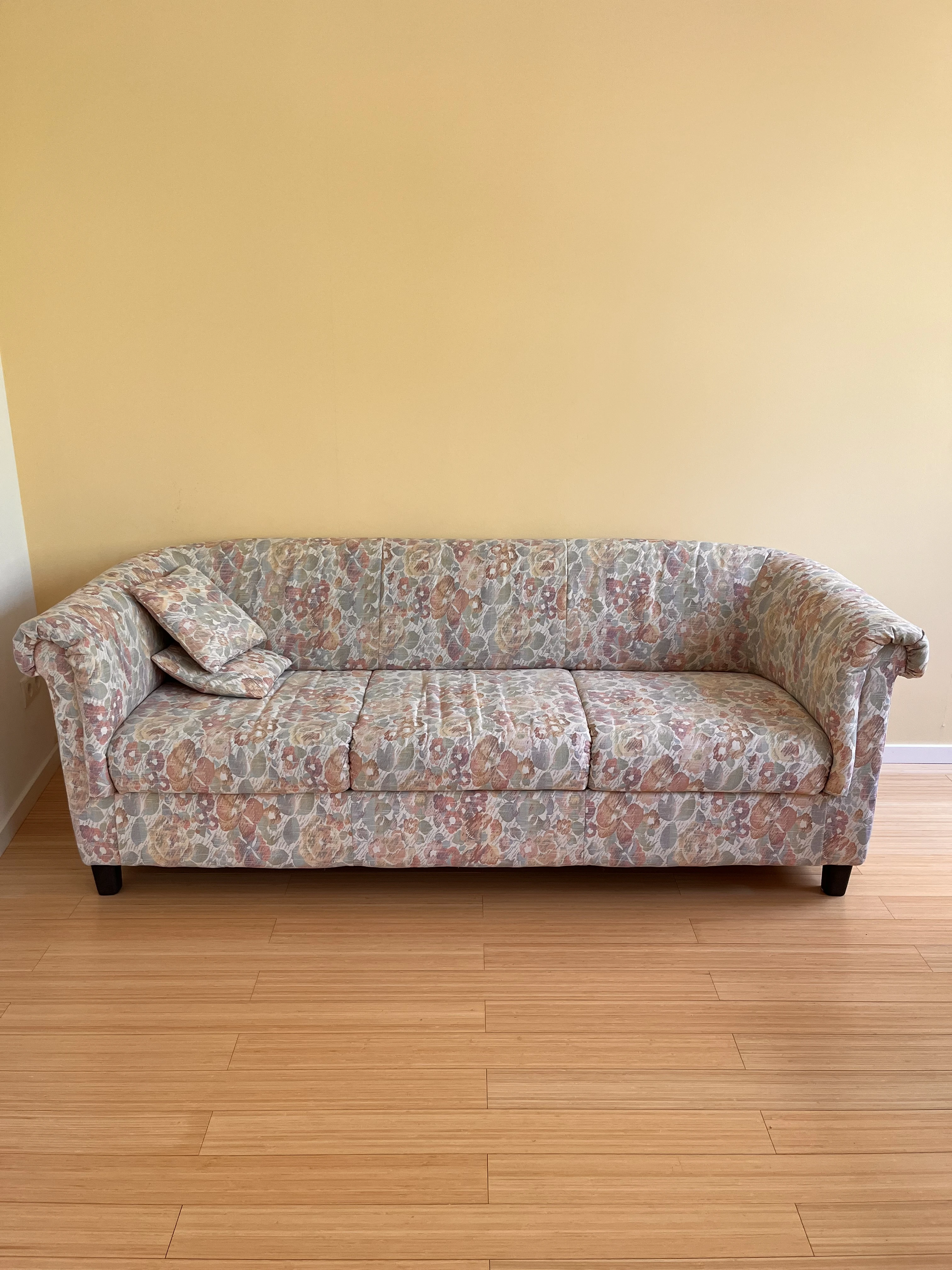 sehr bequemes Sofa mit zwei kleinen Kissen 