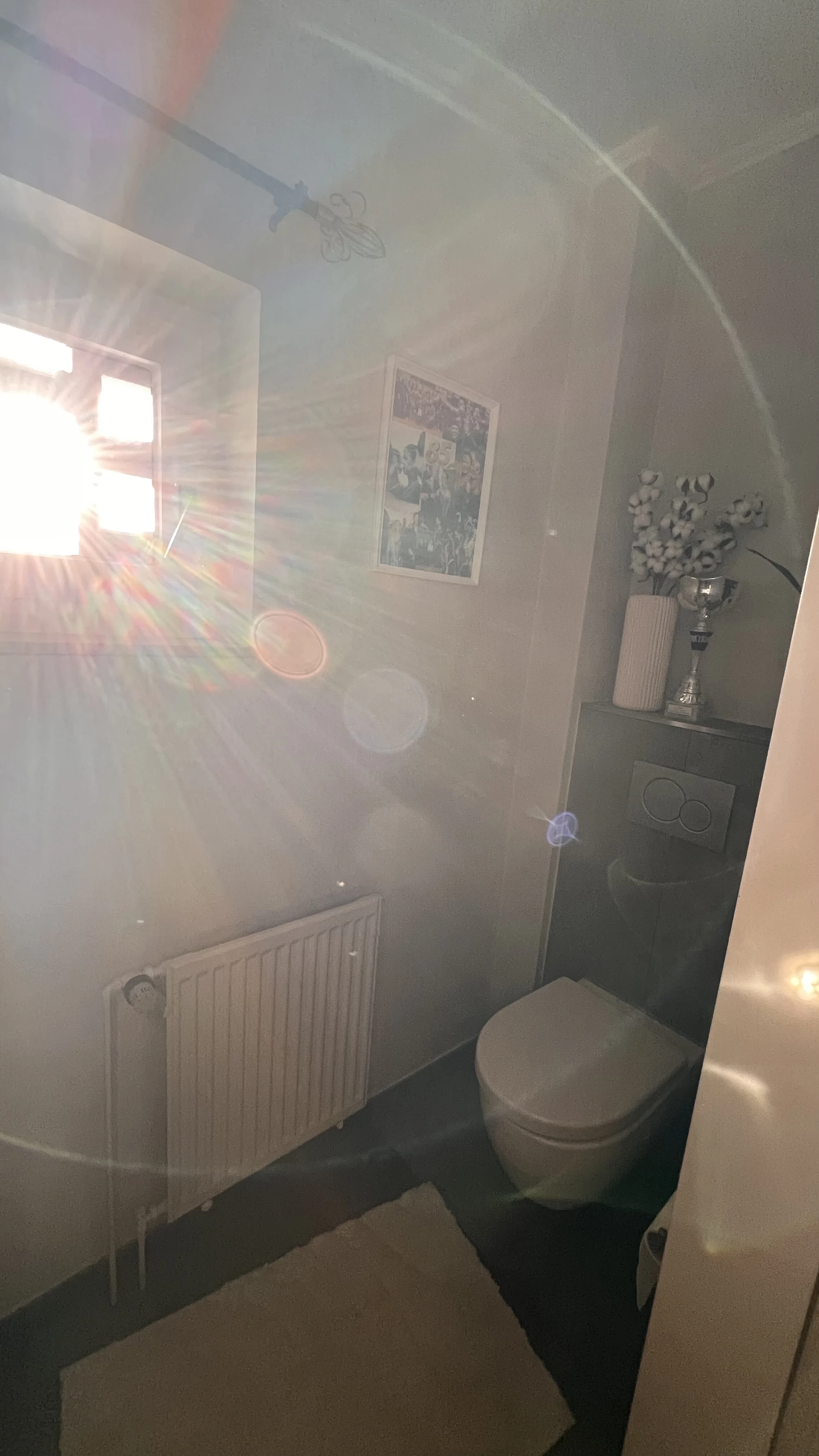 Toilette 