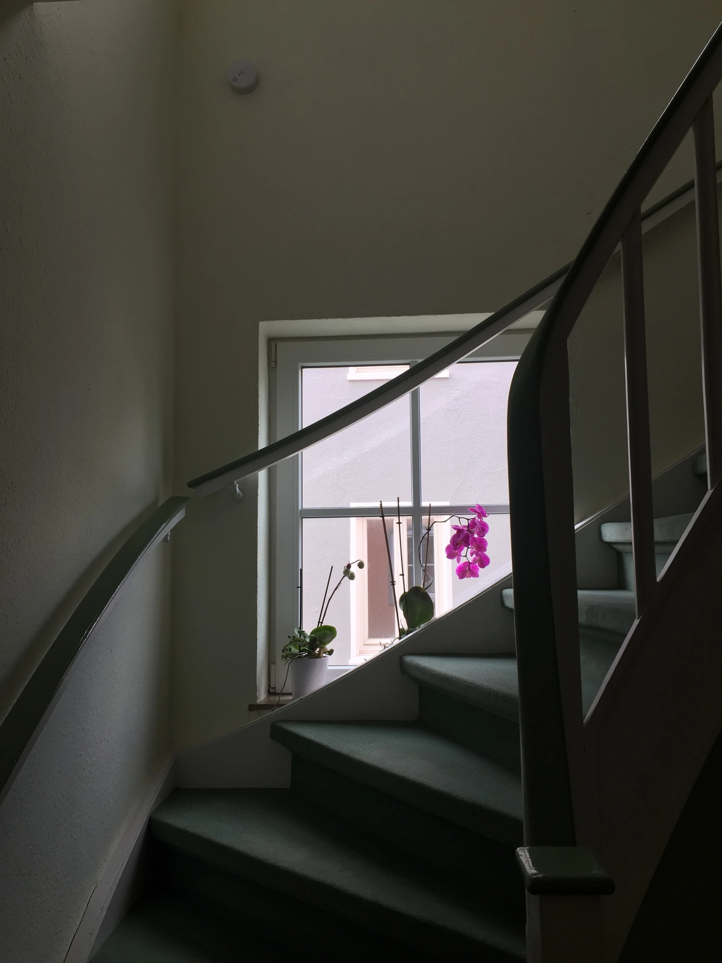 Treppenhaus 