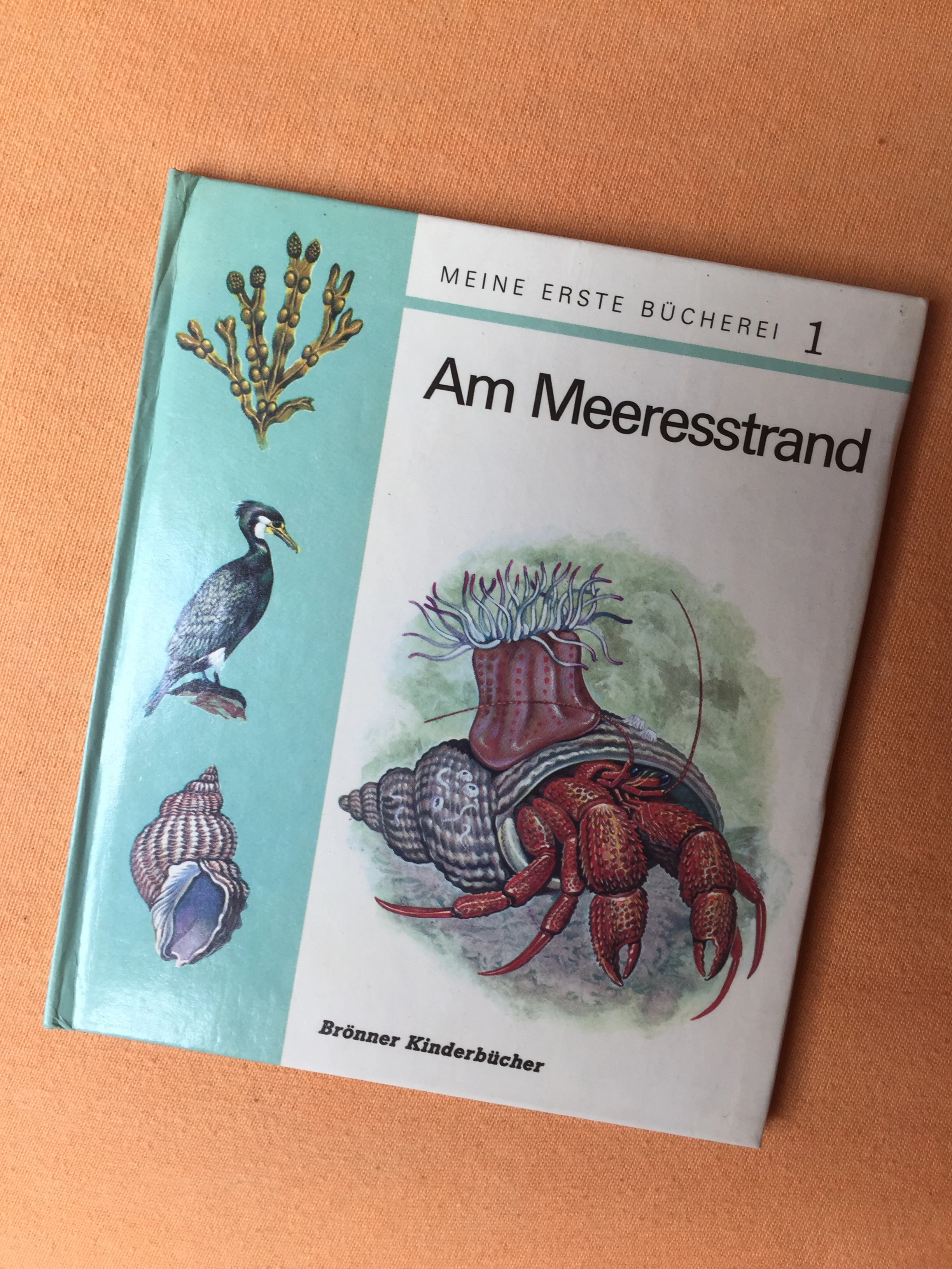 Interessante Tiergeschichten für Kinder