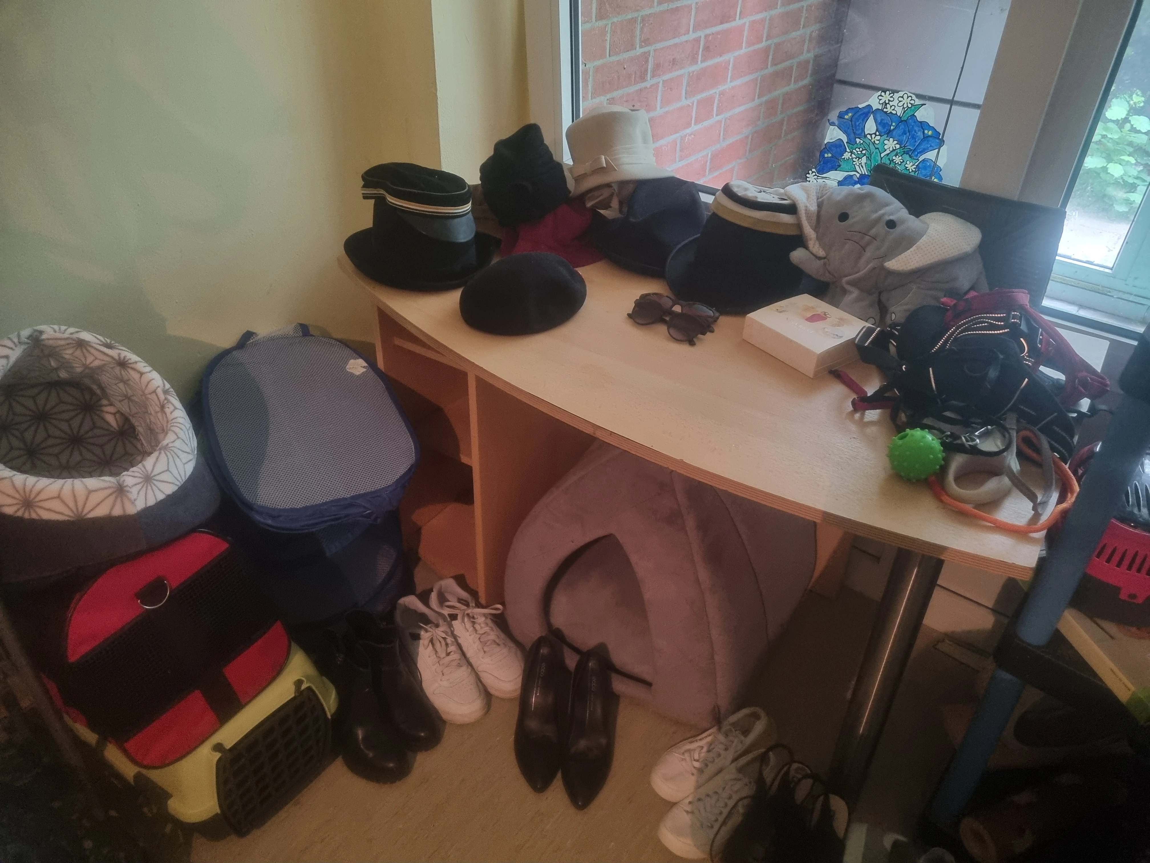 Hüte,Schuhe,Tierkörbe 