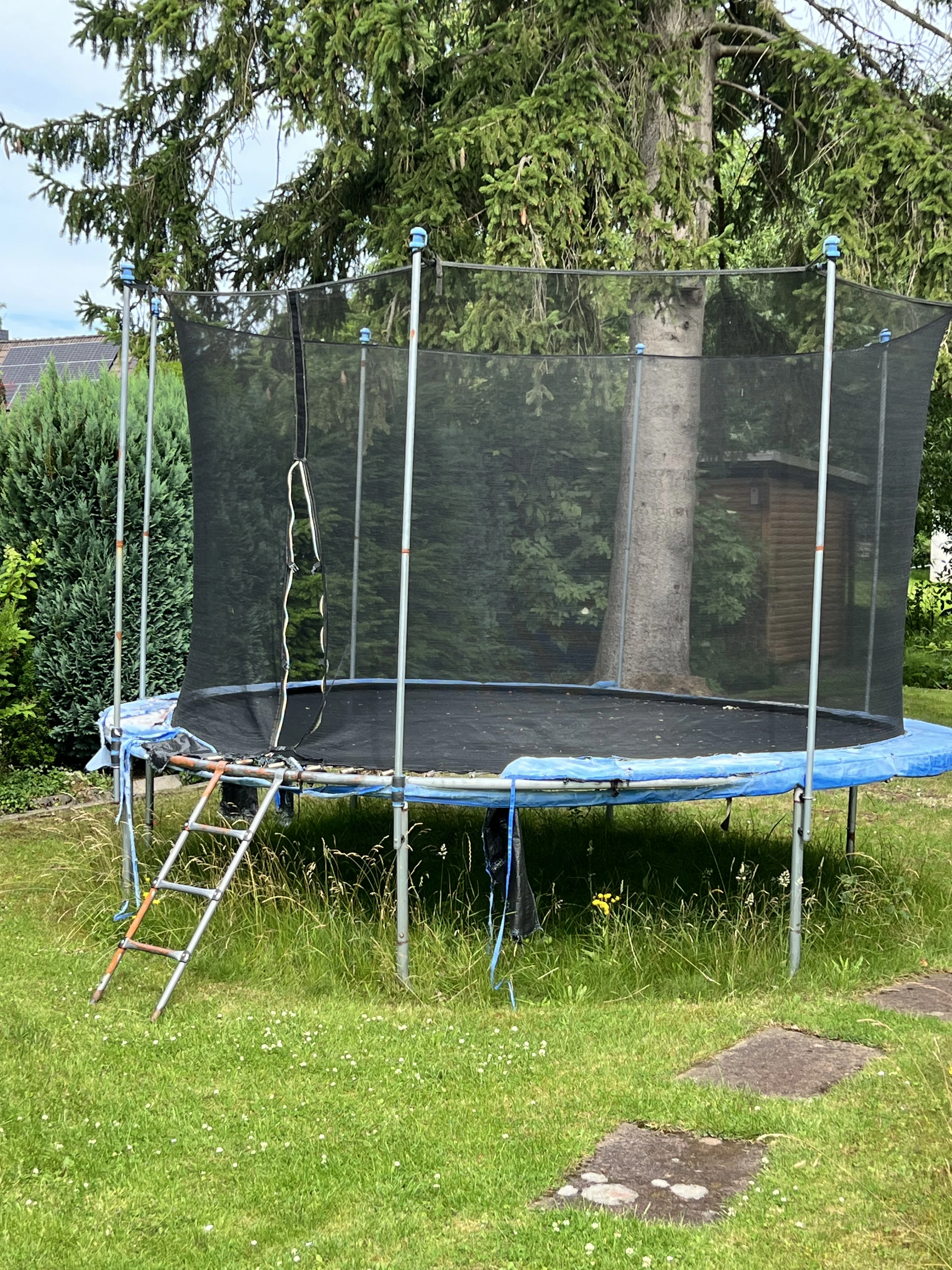 Trampolin gesamt