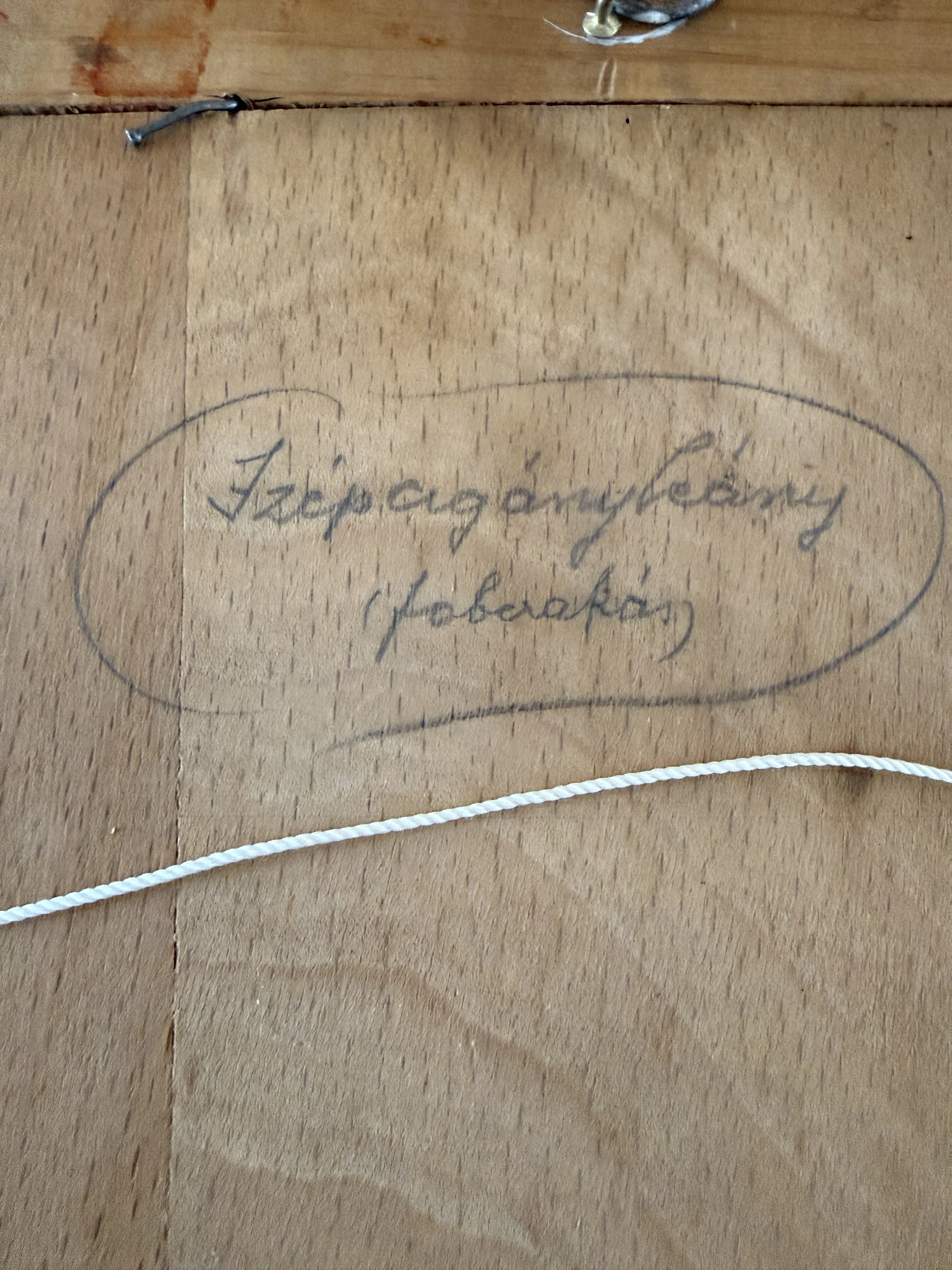 „Szép cigányleány“ – auf Deutsch etwa „Schönes Zigeunermädchen“