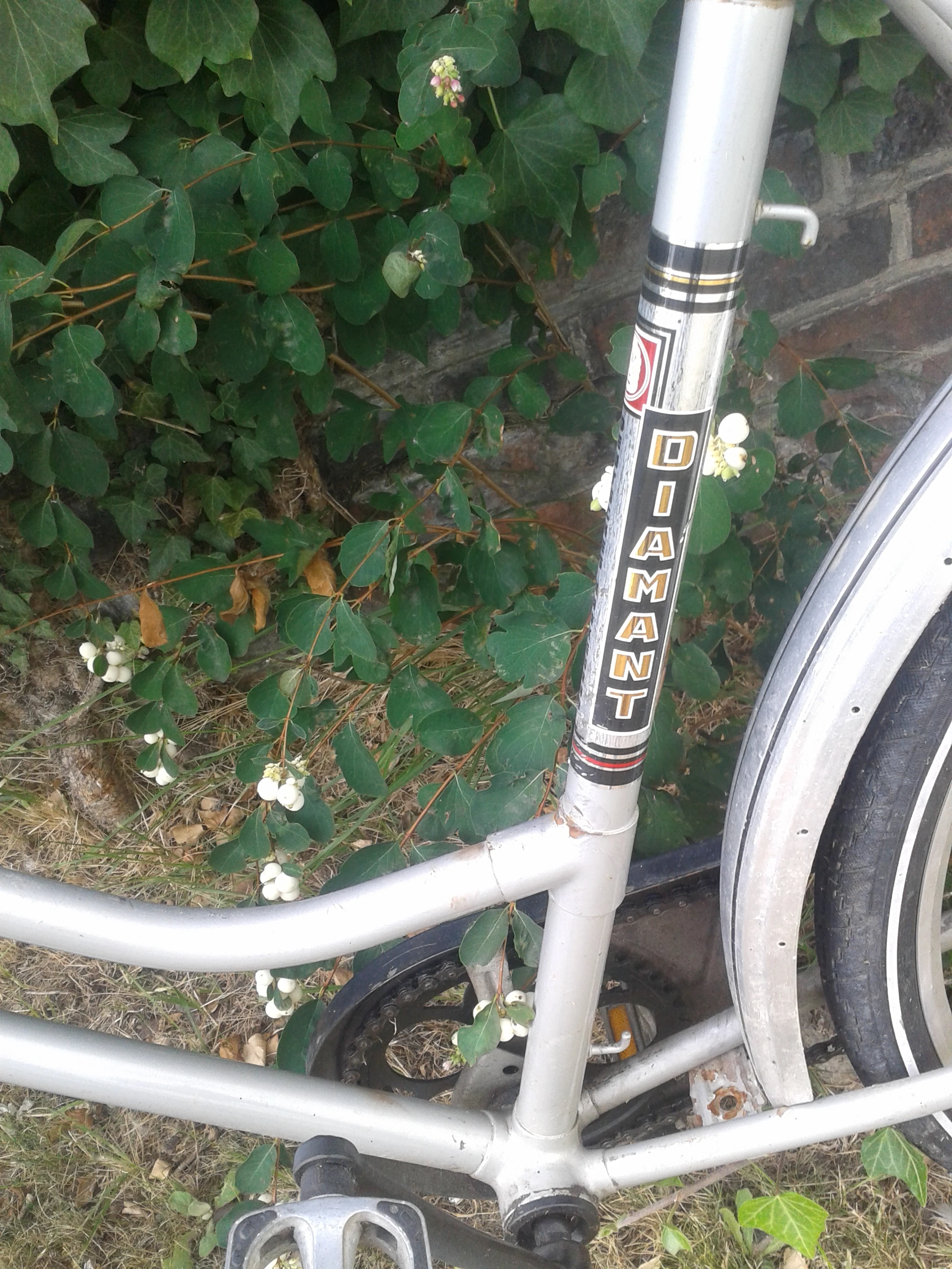 Fahrrad
