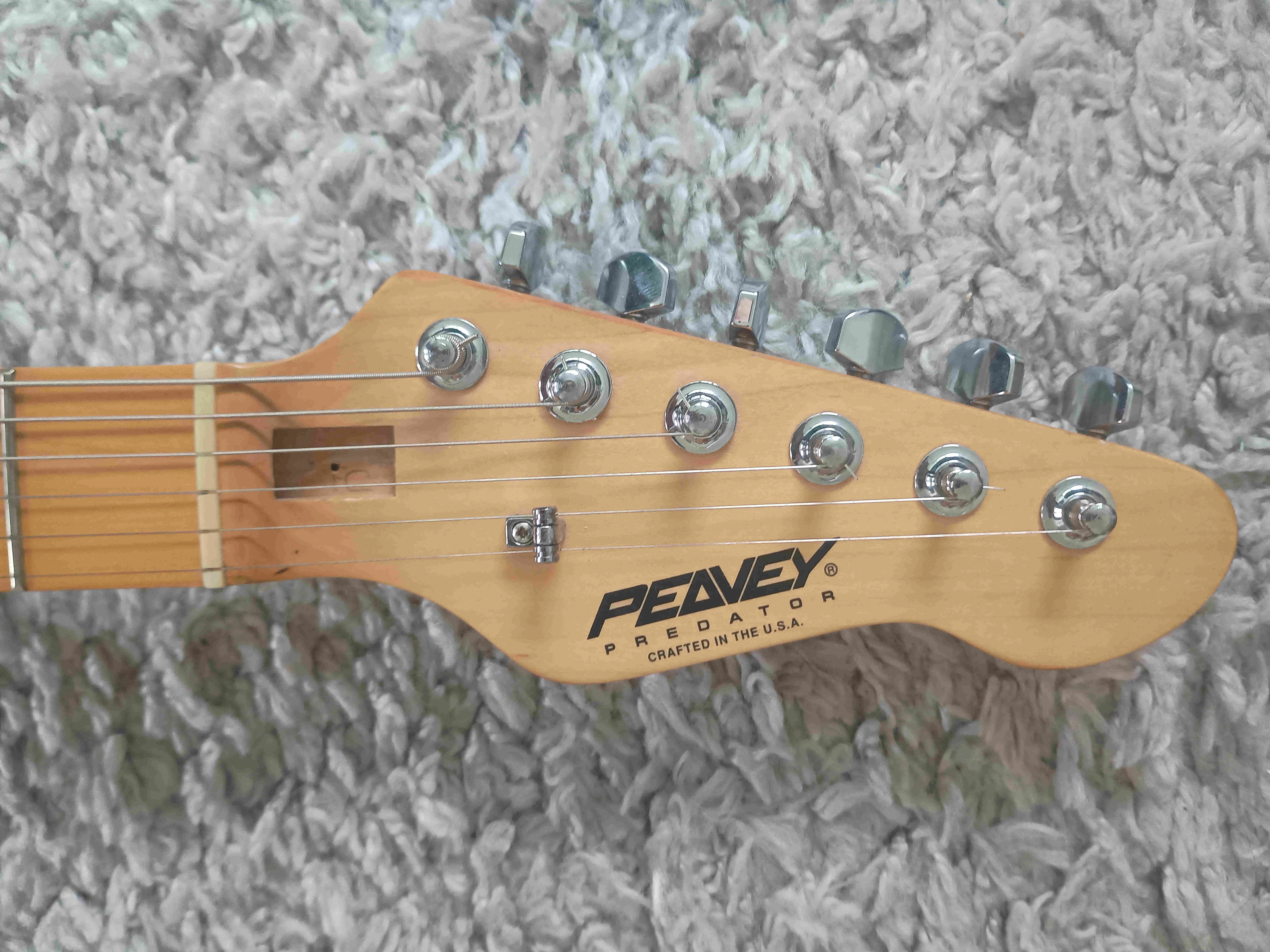 Peavey CIA