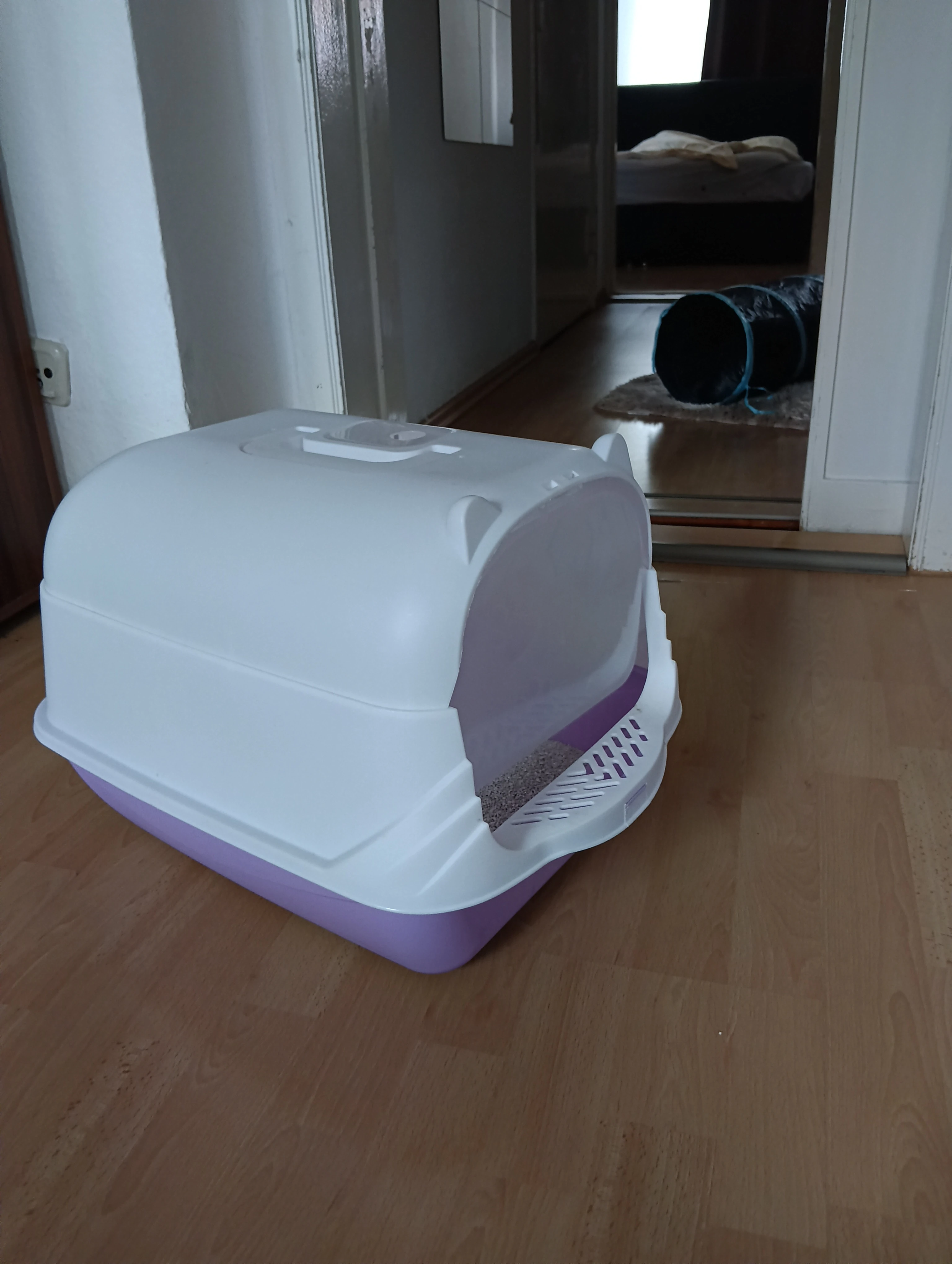 kittentoilette 