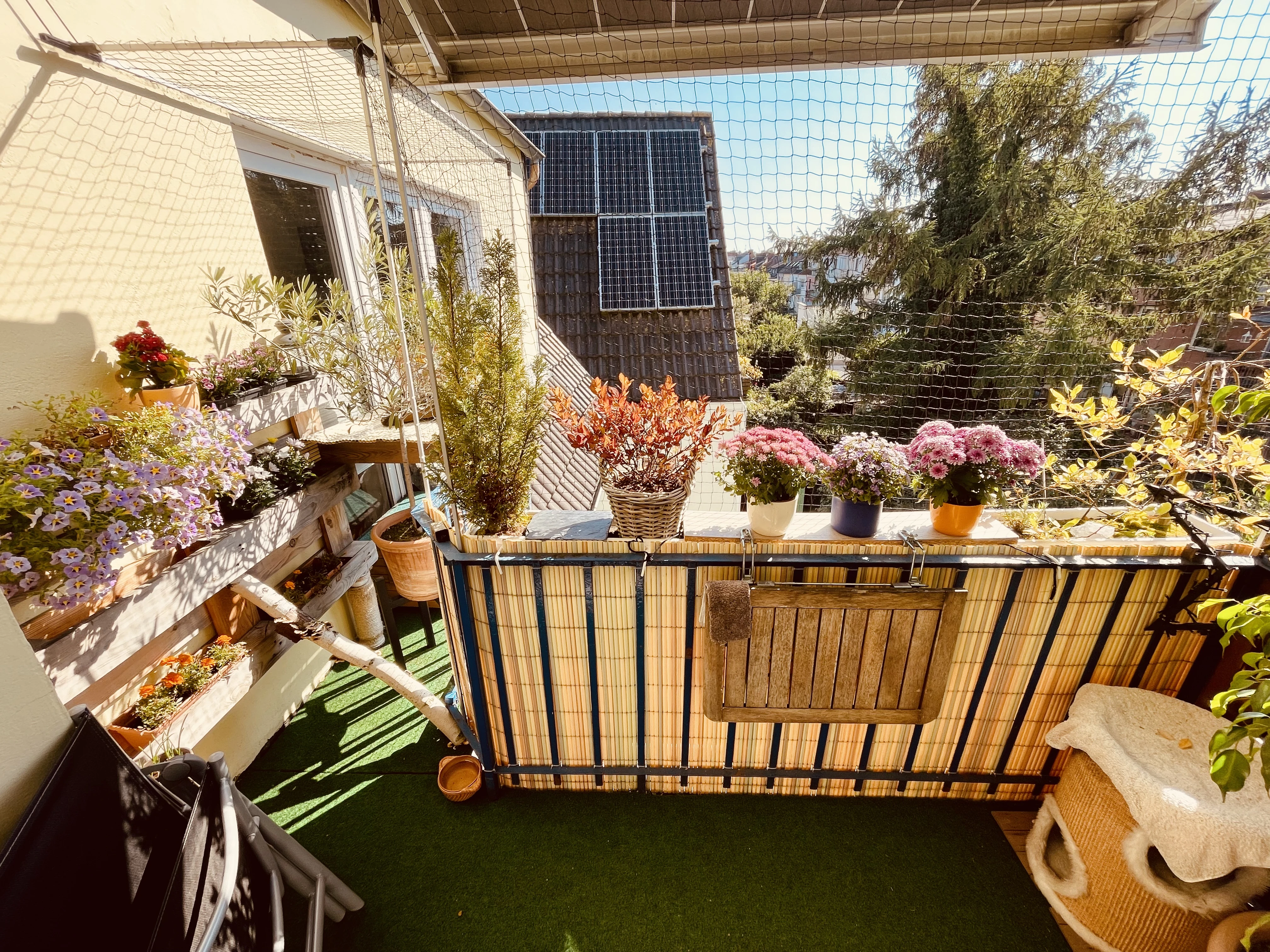 Balkon 