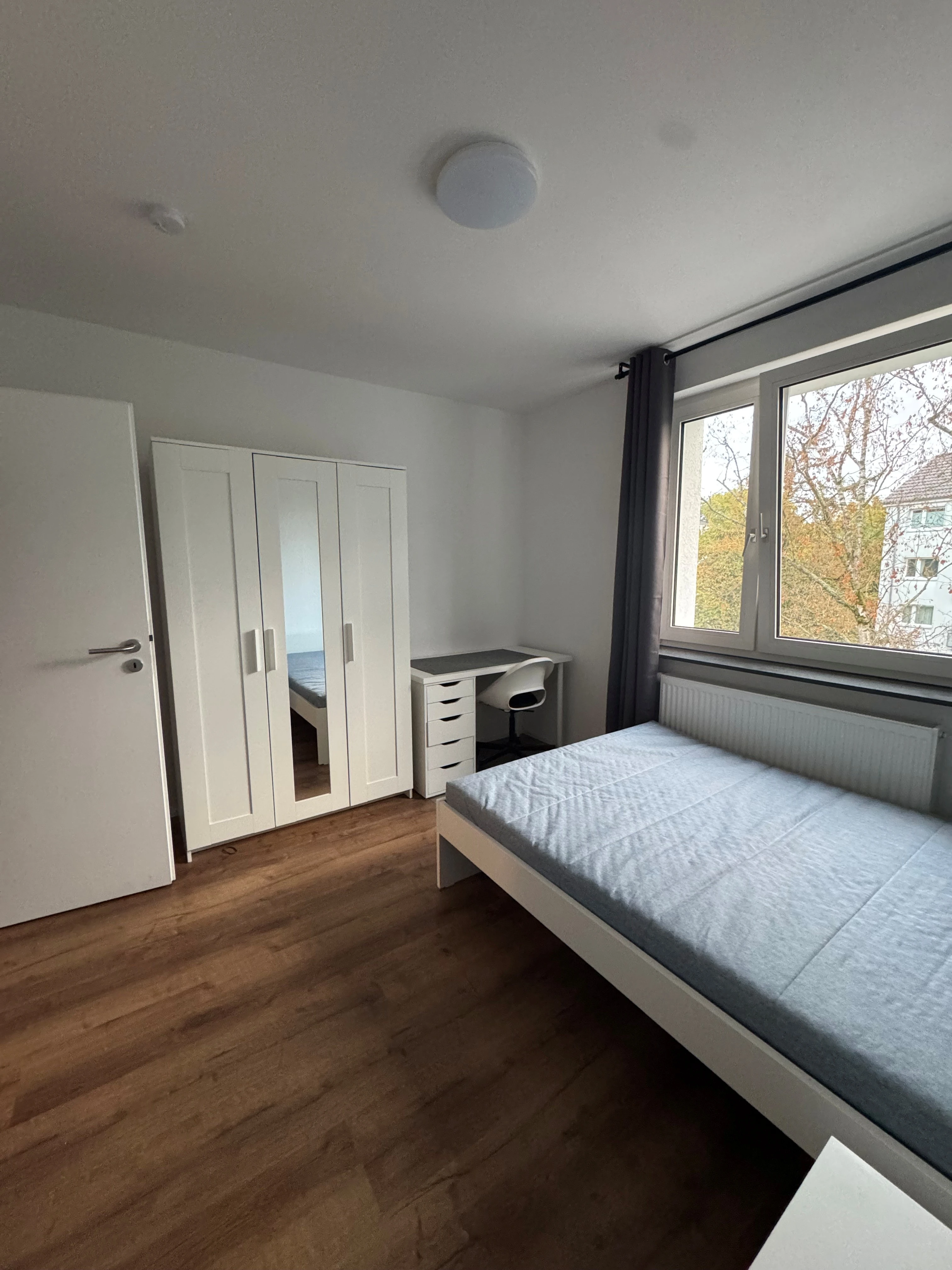 Zimmer1