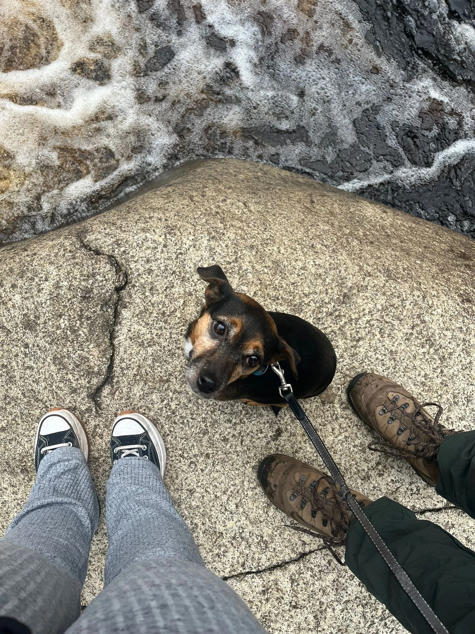 Wir