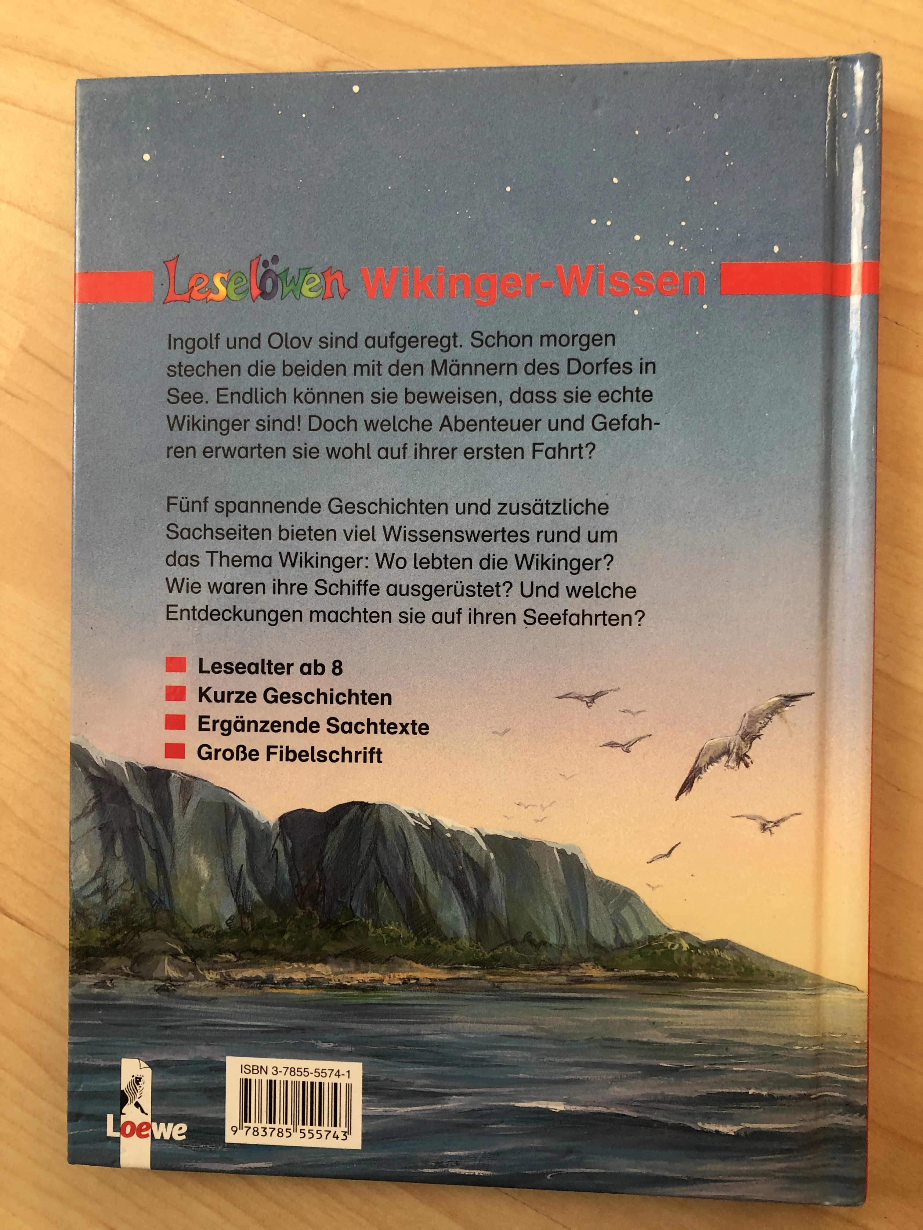Leselöwen Wikinger Wissen