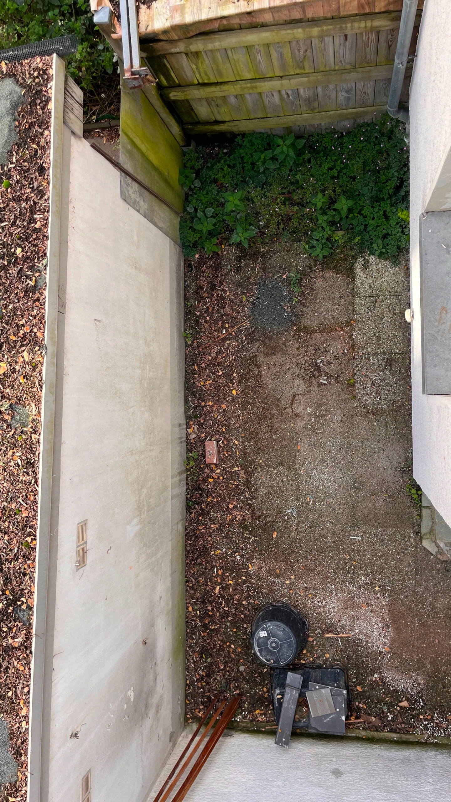 Garten/ Terasse 