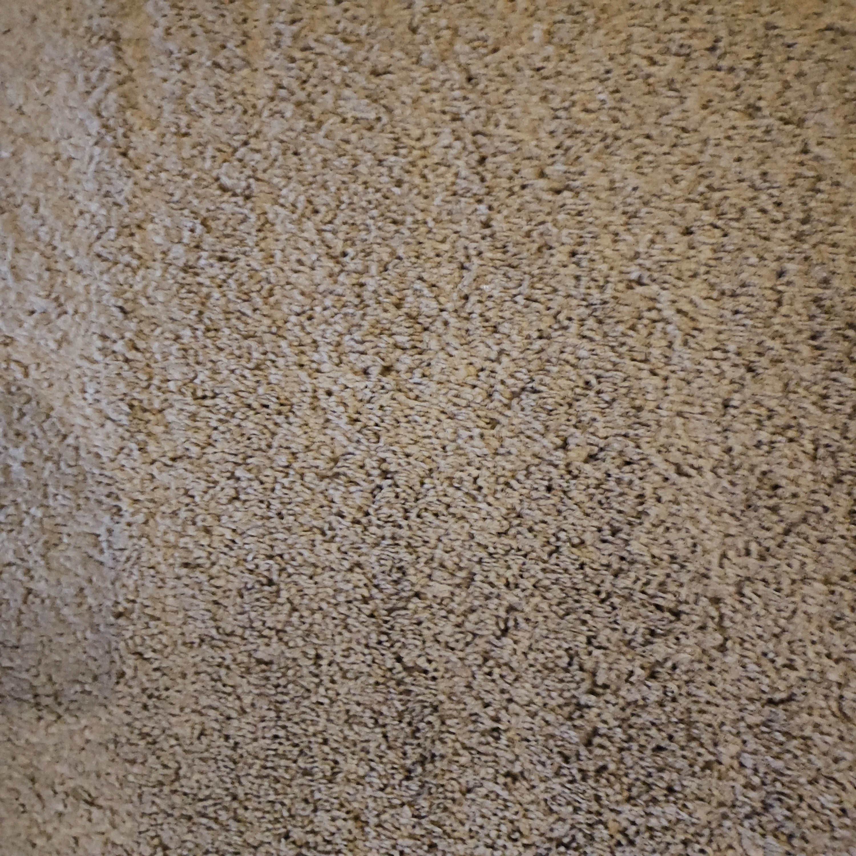 Hochflor