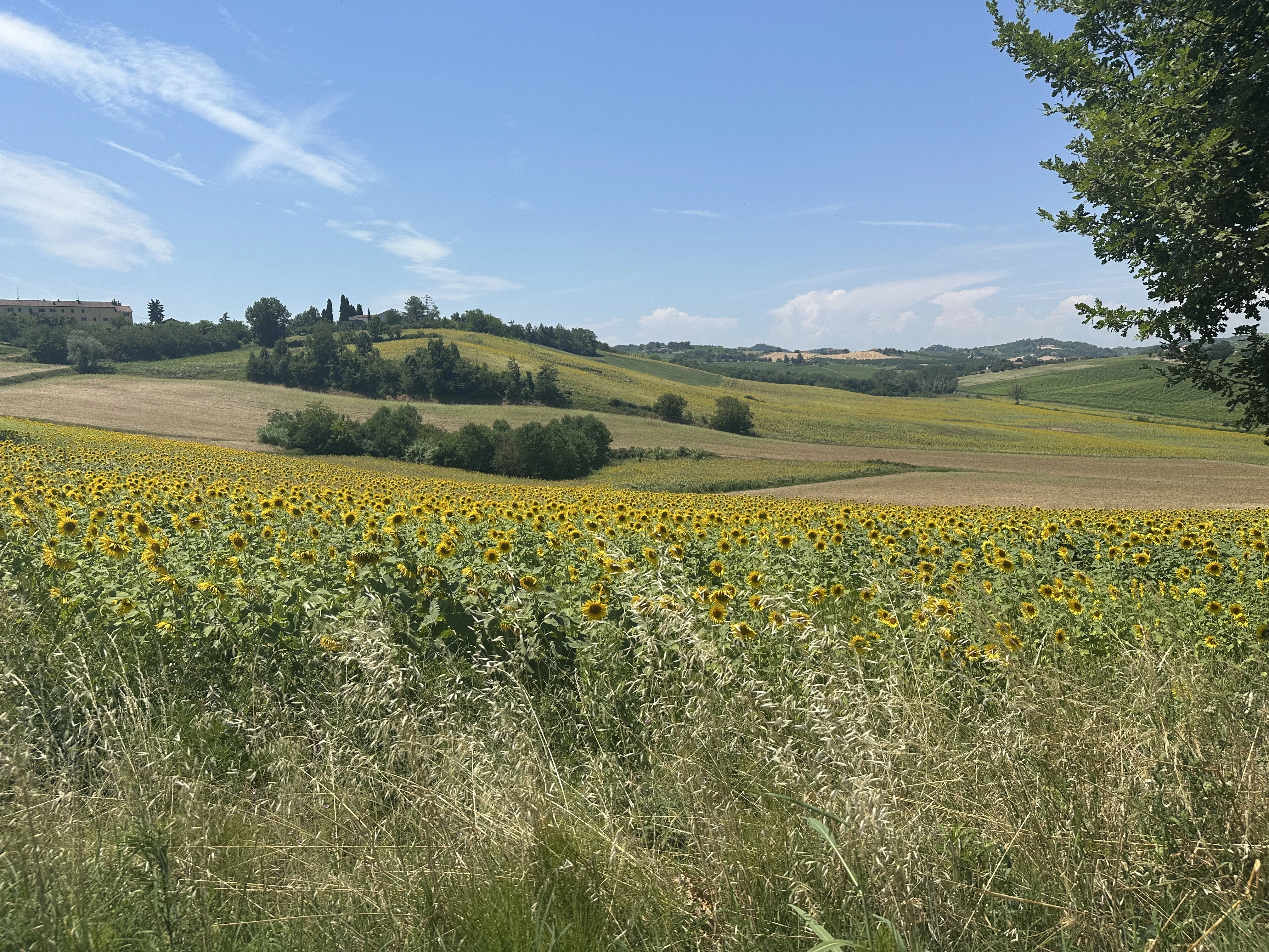 Das Haus liegt im UNESCO Weltkulturerbegebiet nahe Rosignano Monferrato