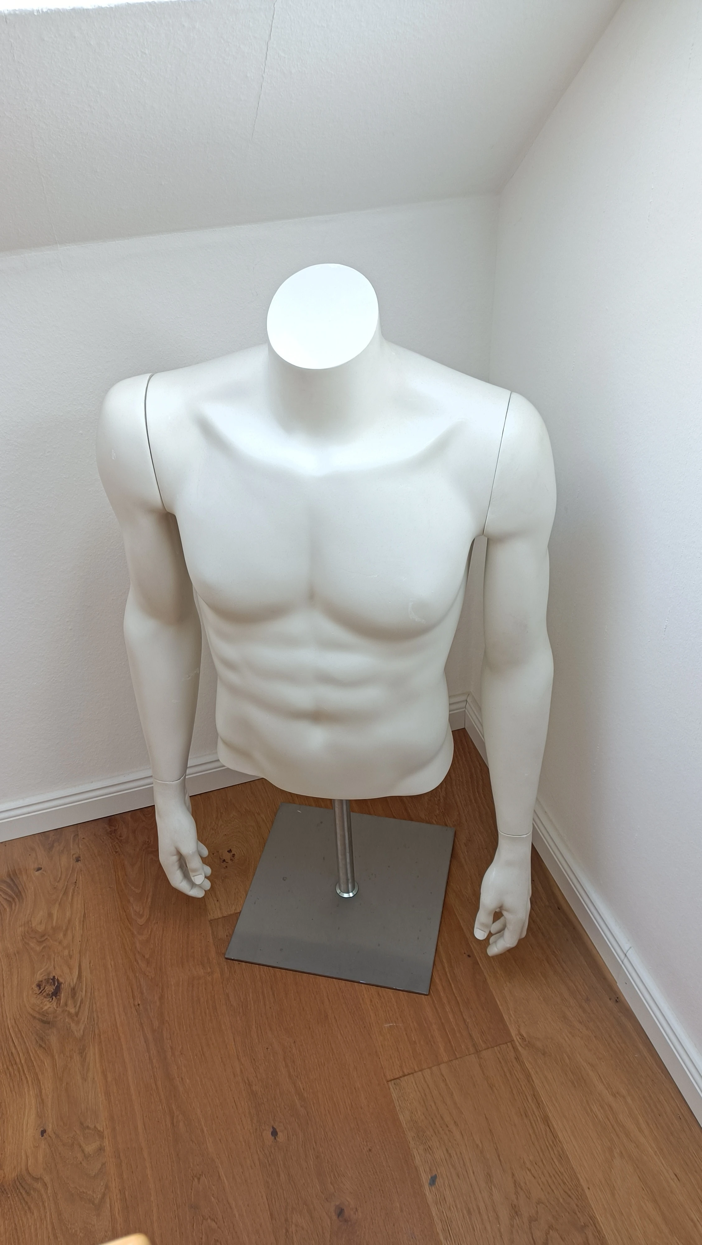 Herren Torso