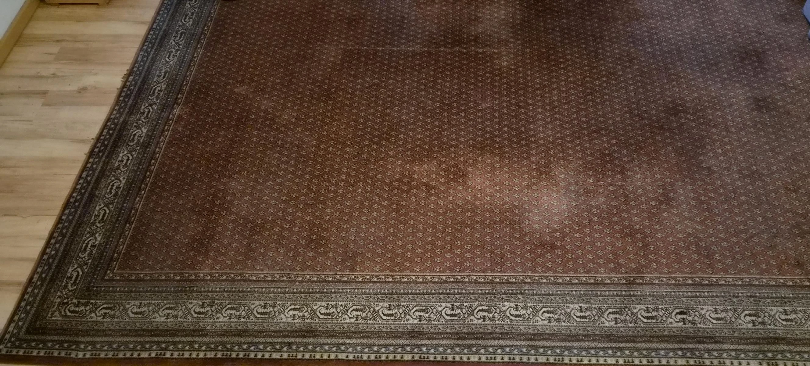 T2
