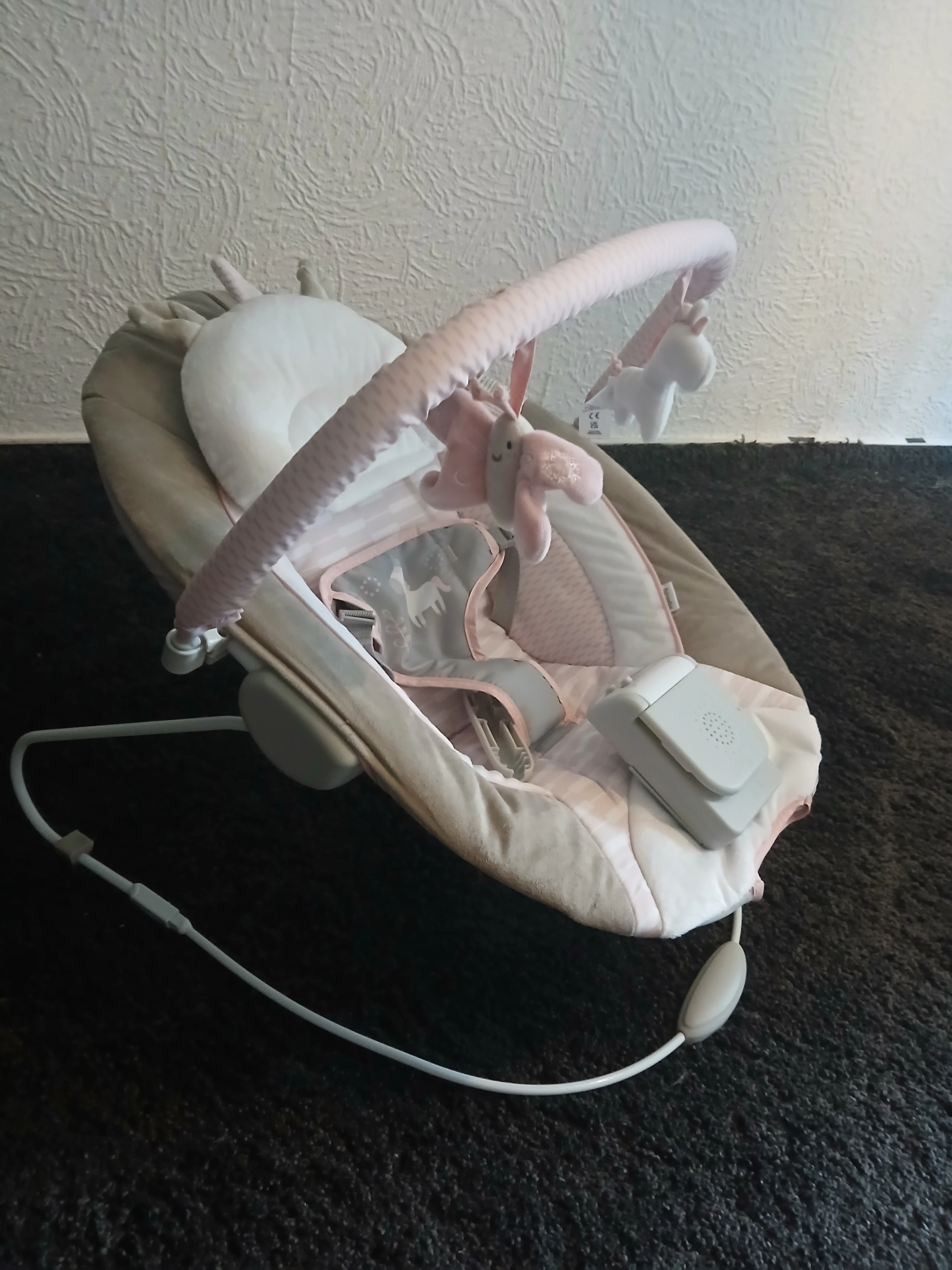 Mit Musik und Schaukelmodus,25euro 