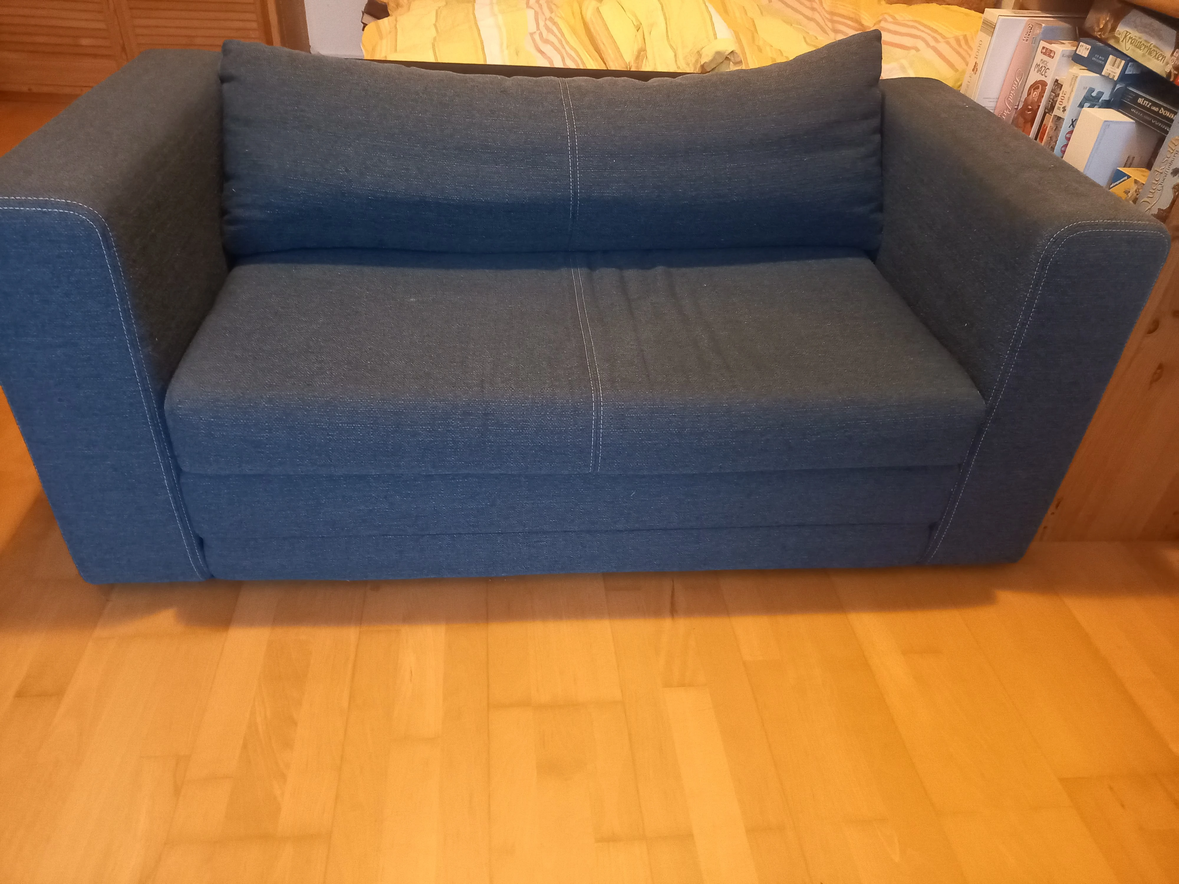 Schlafsofa von vorne
