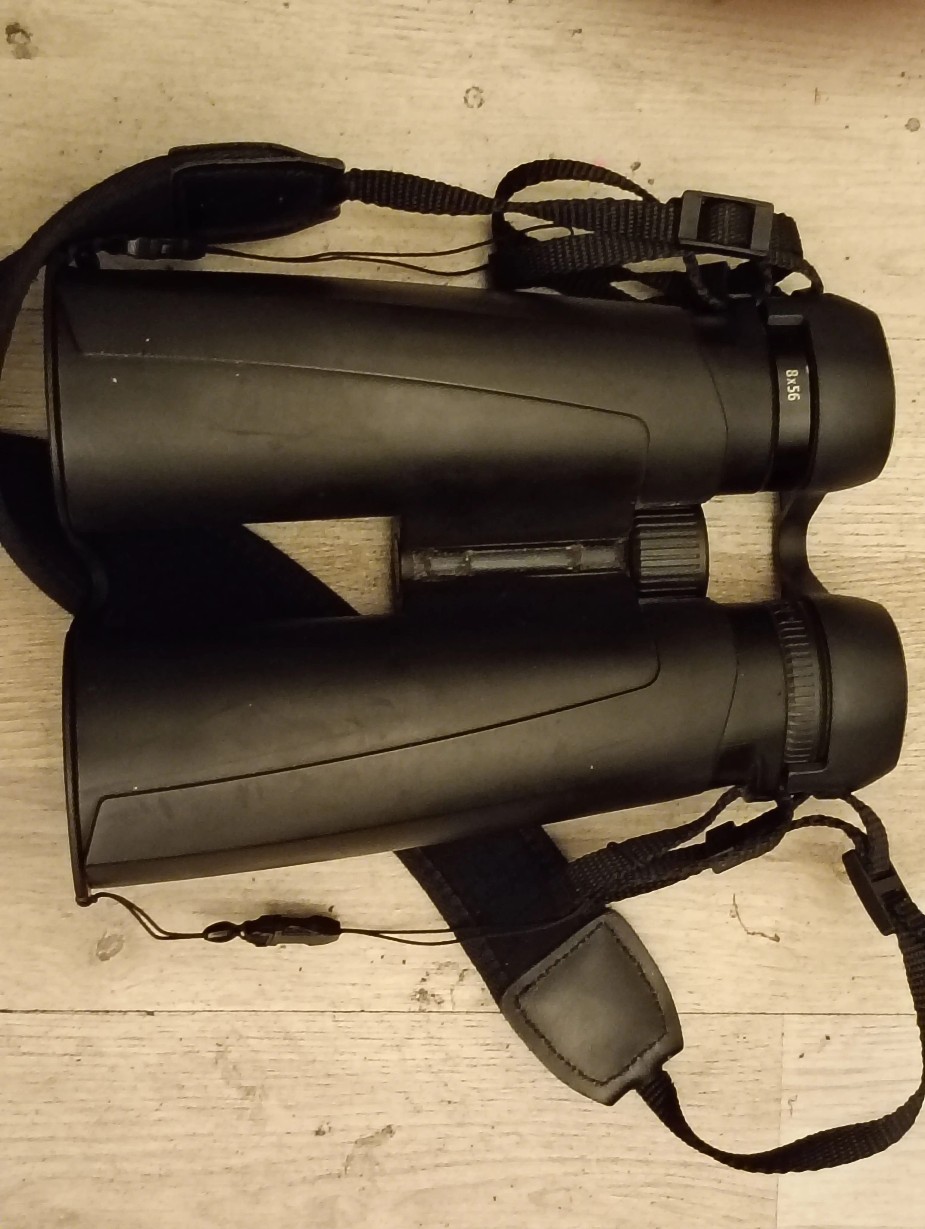 Fernglas ZEISS CONQUEST 8×56