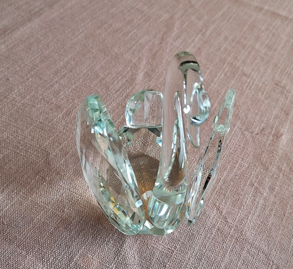 Schwan von vorne