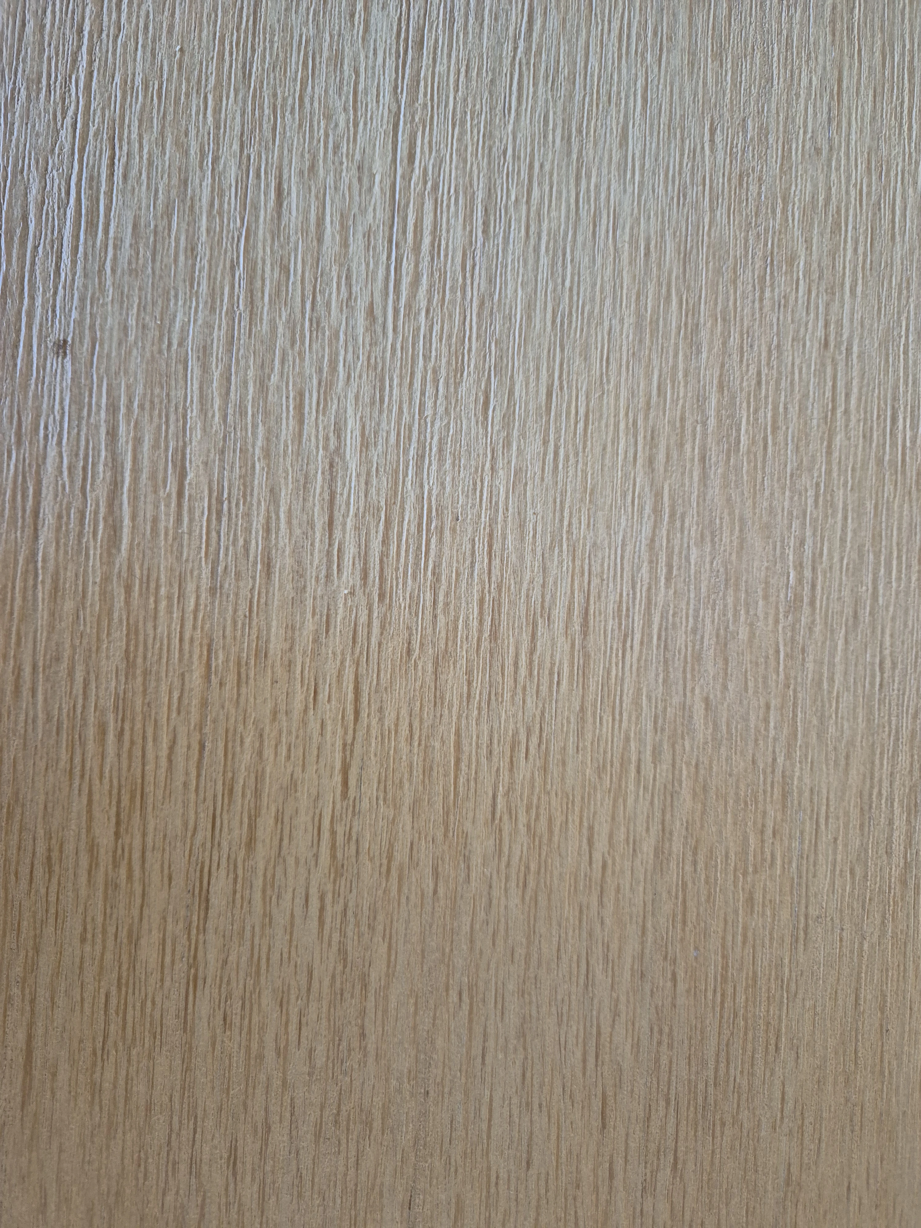 Closeup