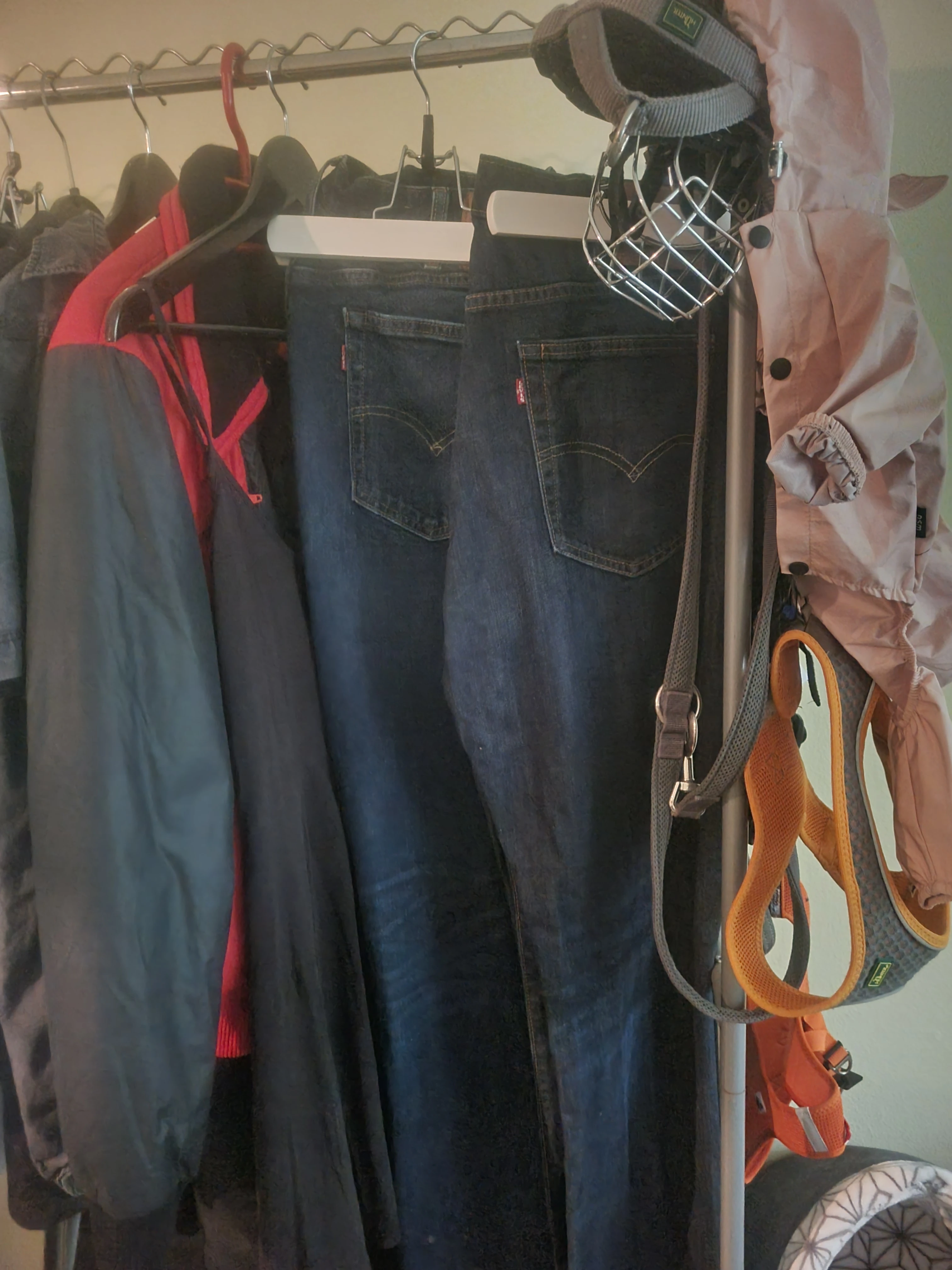 Hosen, Tiergeschirr