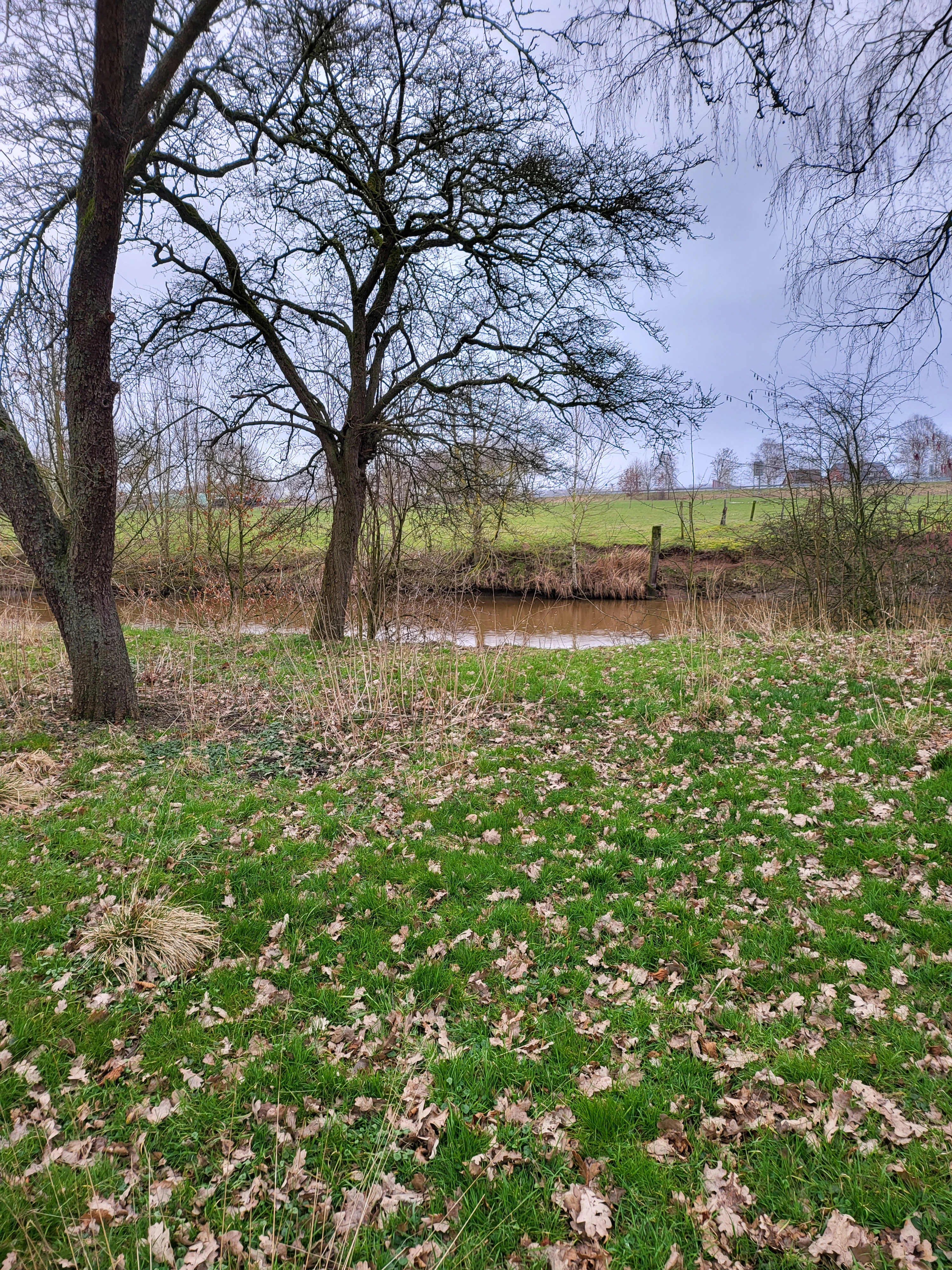 Grundstück