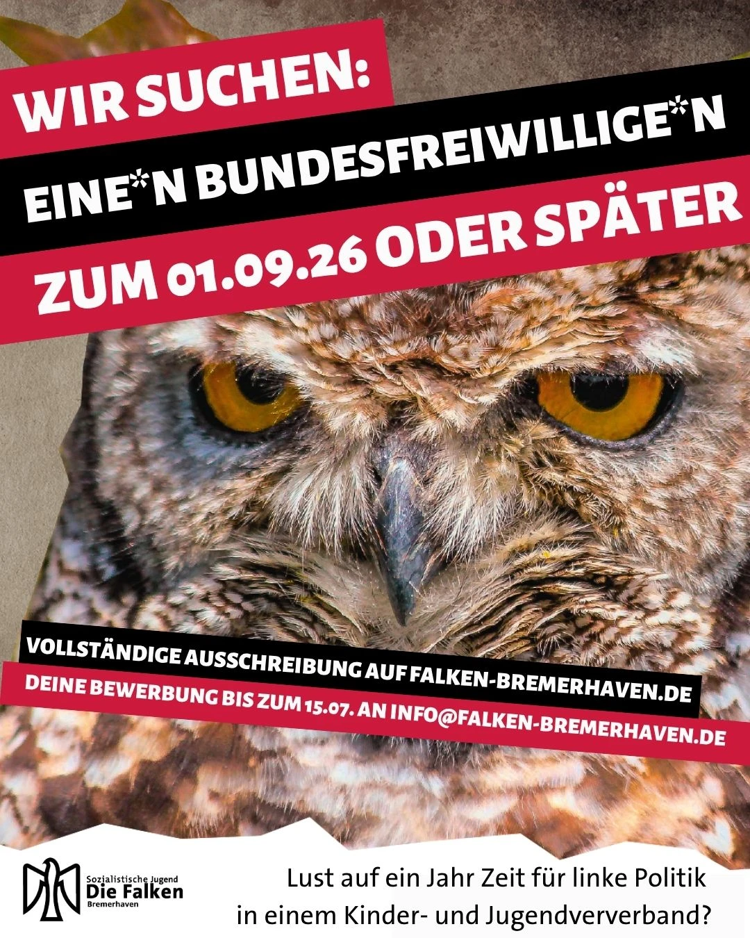 Dein Bundesfreiwilligendienst bei den Falken Bremerhaven!