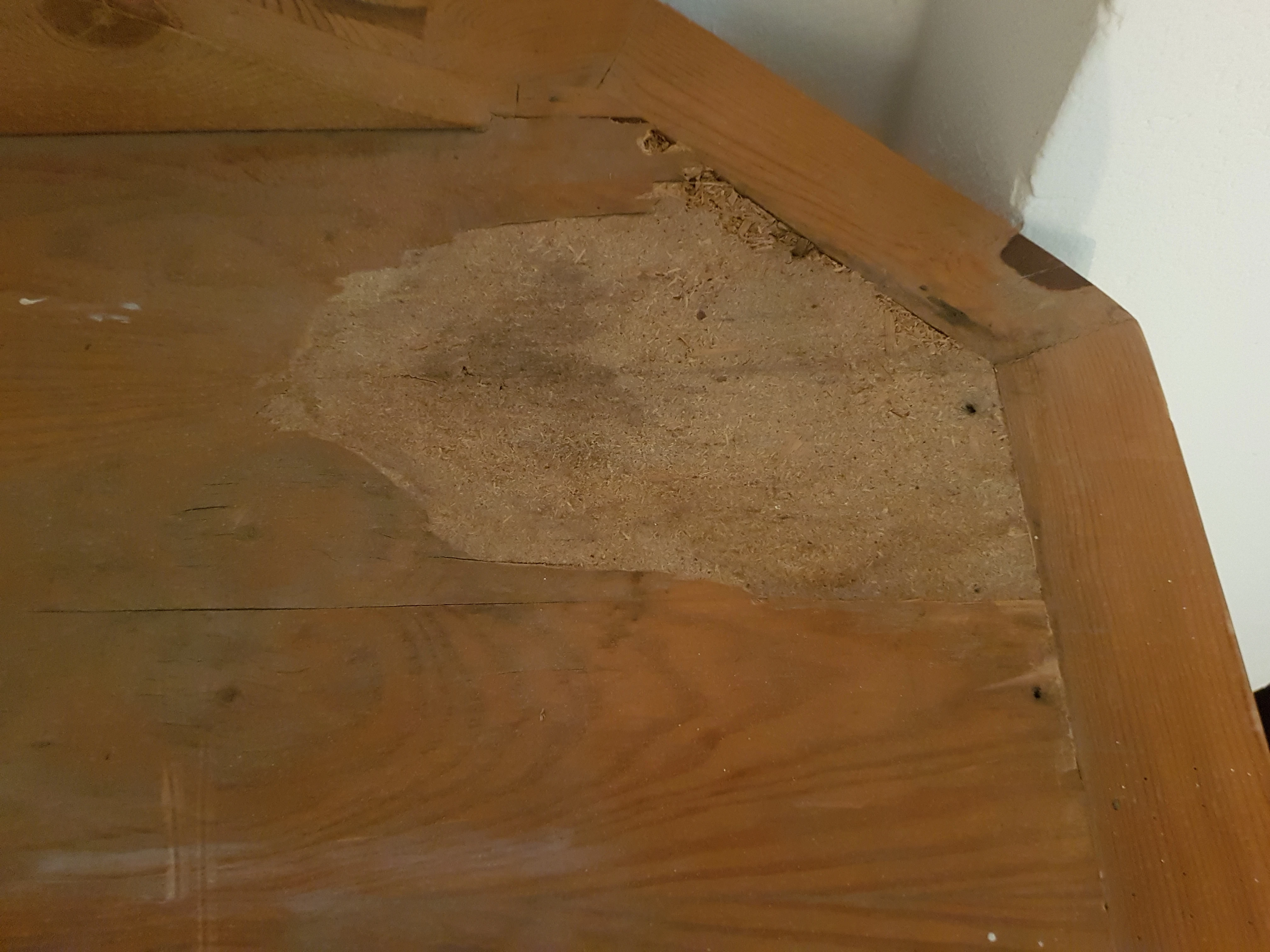Wasserschaden Die obere Abdeckplatte Tischerplatte