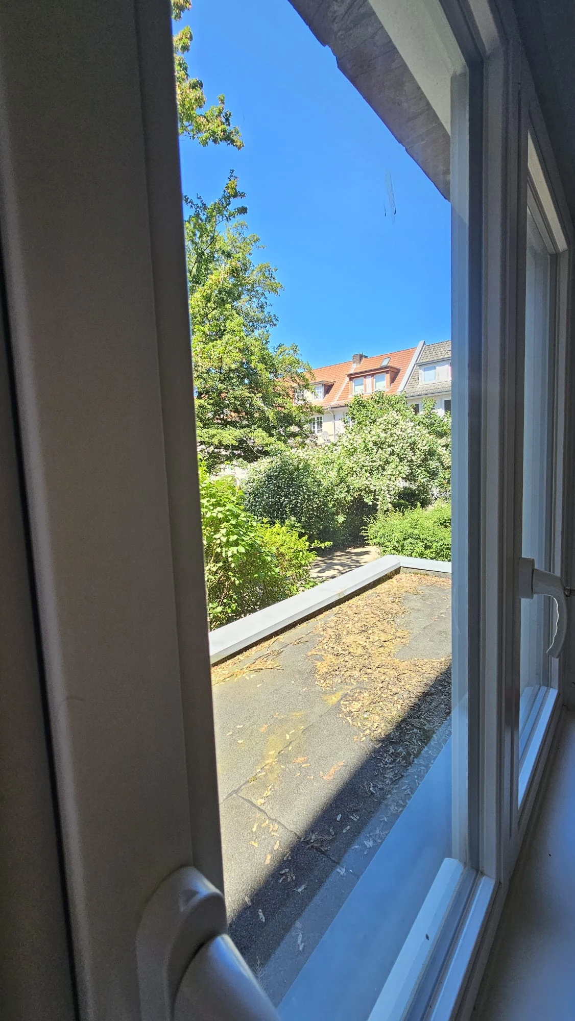 Ausblick Wohnzimmer 