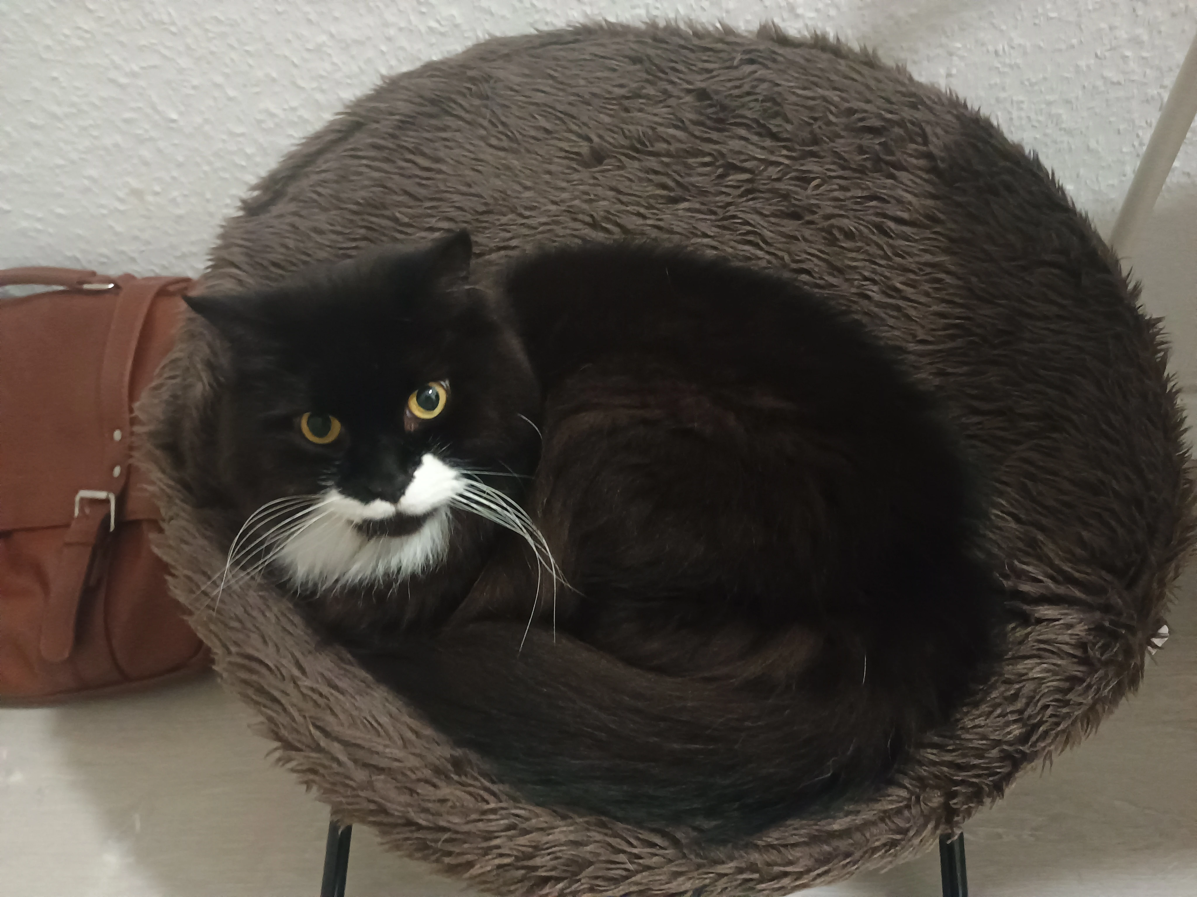 Wir suchen ein neues Zuhause 
