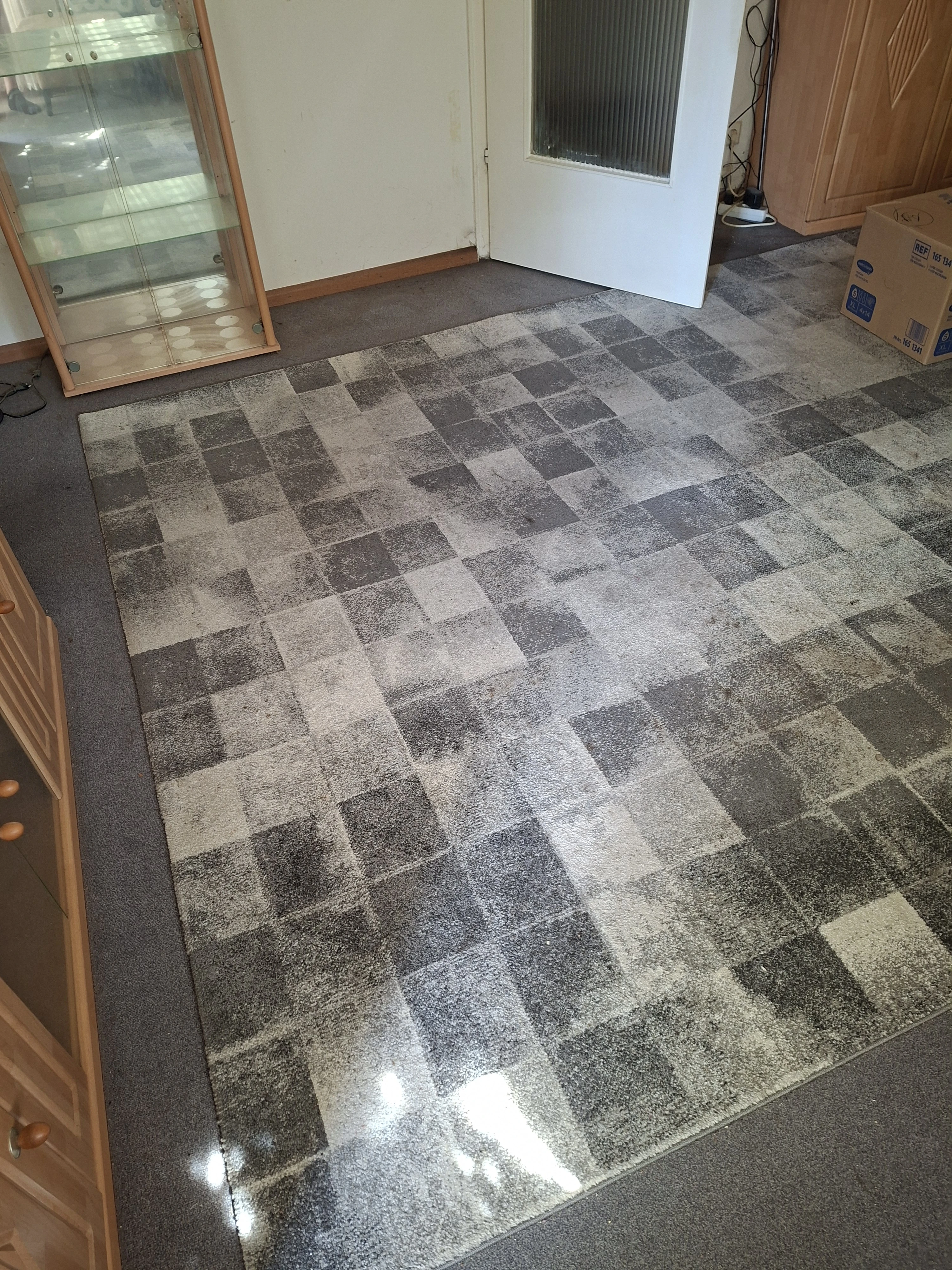 Teppich 240 x 340 cm